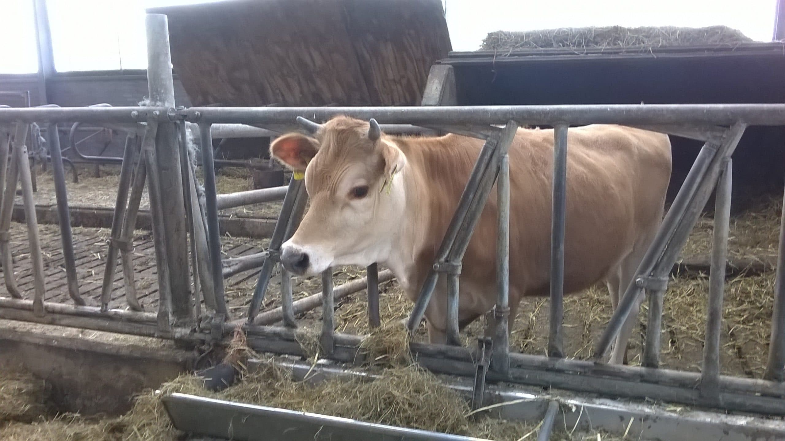 Foto: Margreet Welink
