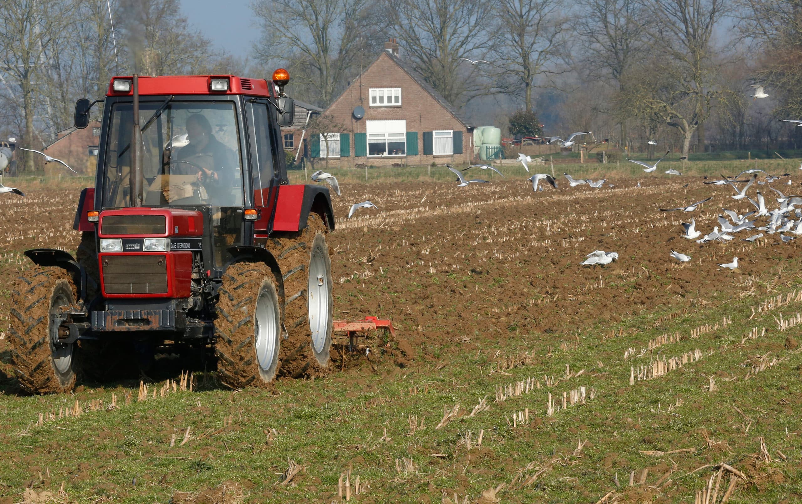 Foto: Henk Riswick
