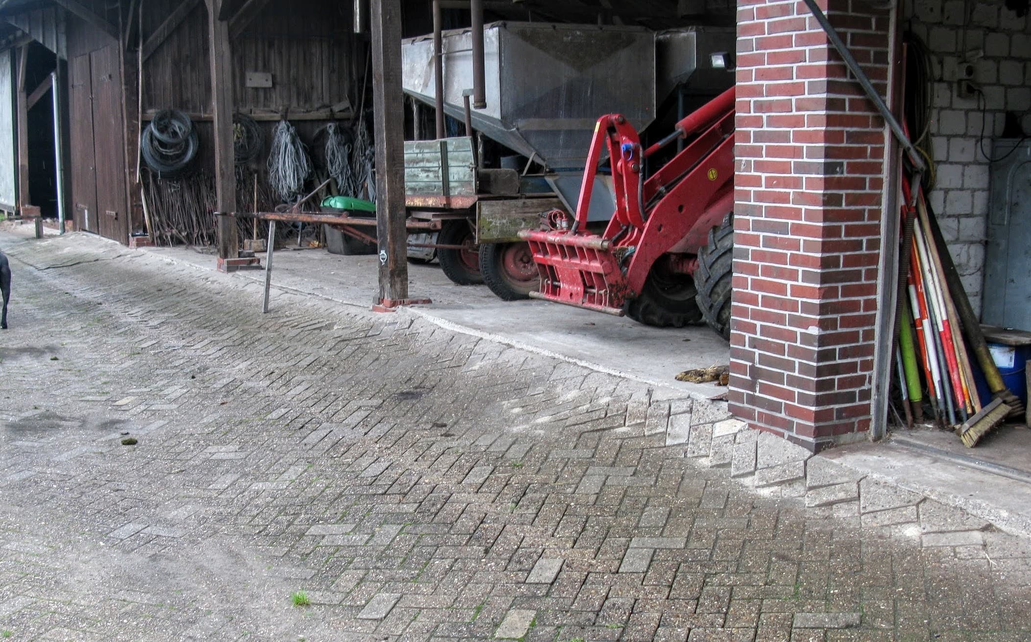 Alter is druk aan het kijken en rekenen. Enkele weken geleden kwam de buurman die 30 hectare land wil verkopen à ¬ 20.000 per hectare. Tja, wat doe je dan? Het zwarte zaad van de lage melkprijs is nog zichtbaar, Alter is de 60 gepasseerd en heeft oog voor het bedrijf en zijn eigen pensioen.