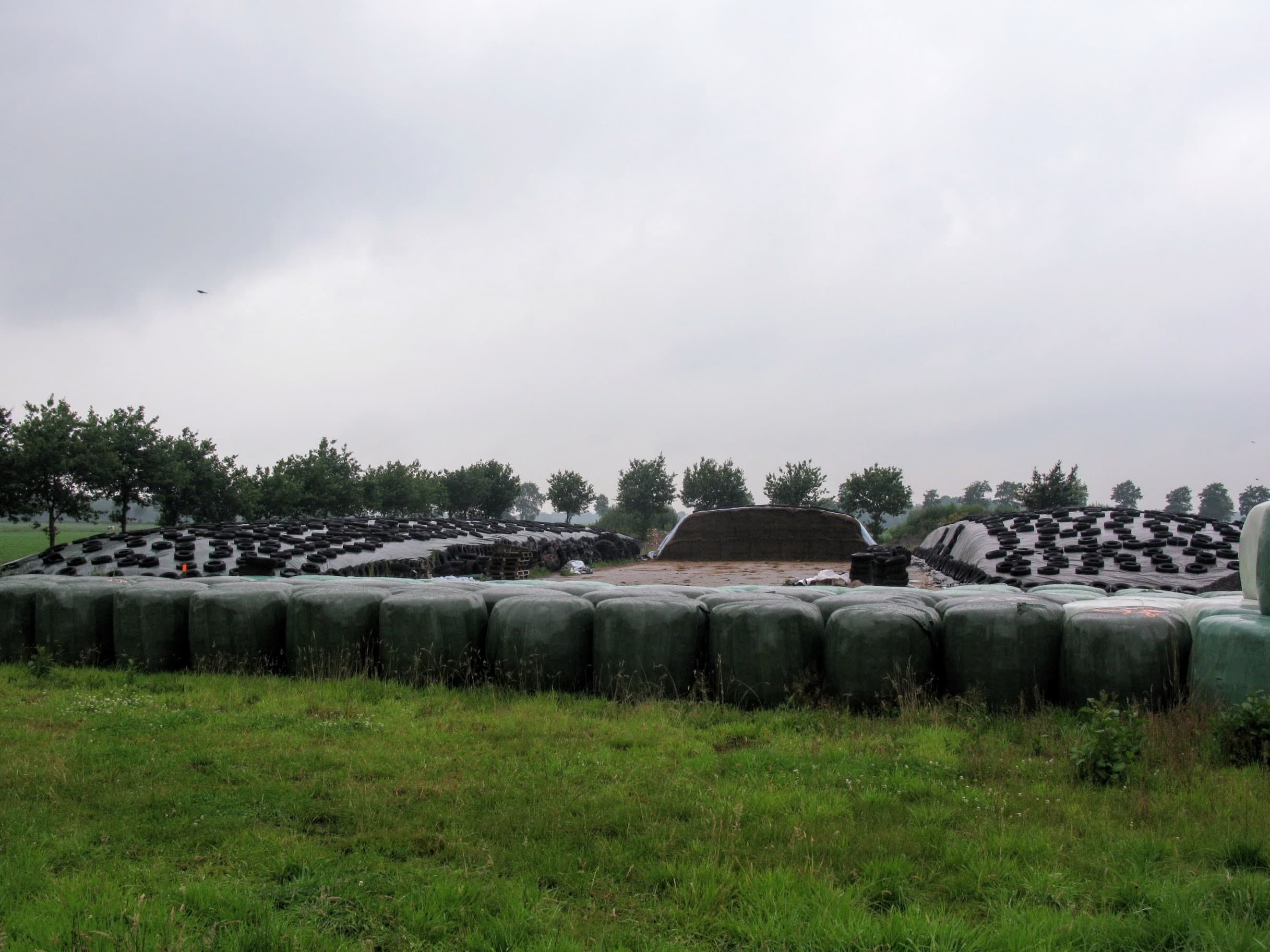 De basis van het bedrijf wordt gevormd door melkleverancies. Zonnepanelen leveren ook een kleine bijdrage in de opbrengsten.