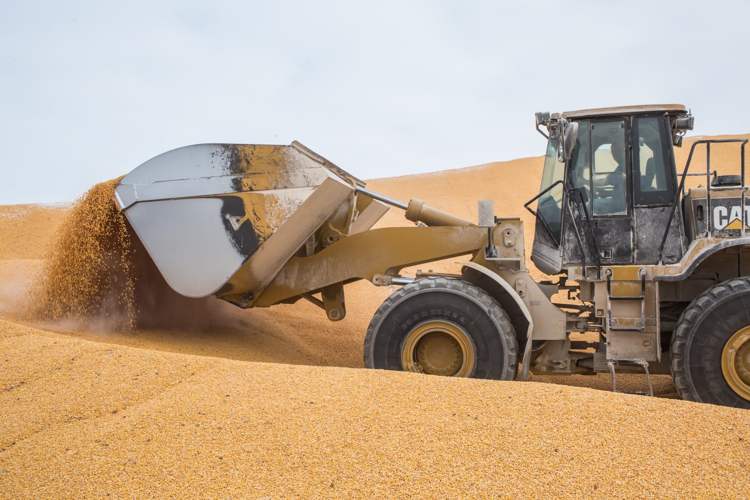 2016-01-22 00:00:00 BOONE, IOWA - JANUARY 22: Corn is scooped up to be loaded into a trailer at the West Central Co-op on January 22, 2016 in Boone, Iowa. The Democratic and Republican Iowa Caucuses, the first step in nominating a presidential candidate from each party, will take place on February 1.   Brendan Hoffman/Getty Images/AFP == FOR NEWSPAPERS, INTERNET, TELCOS & TELEVISION USE ONLY ==