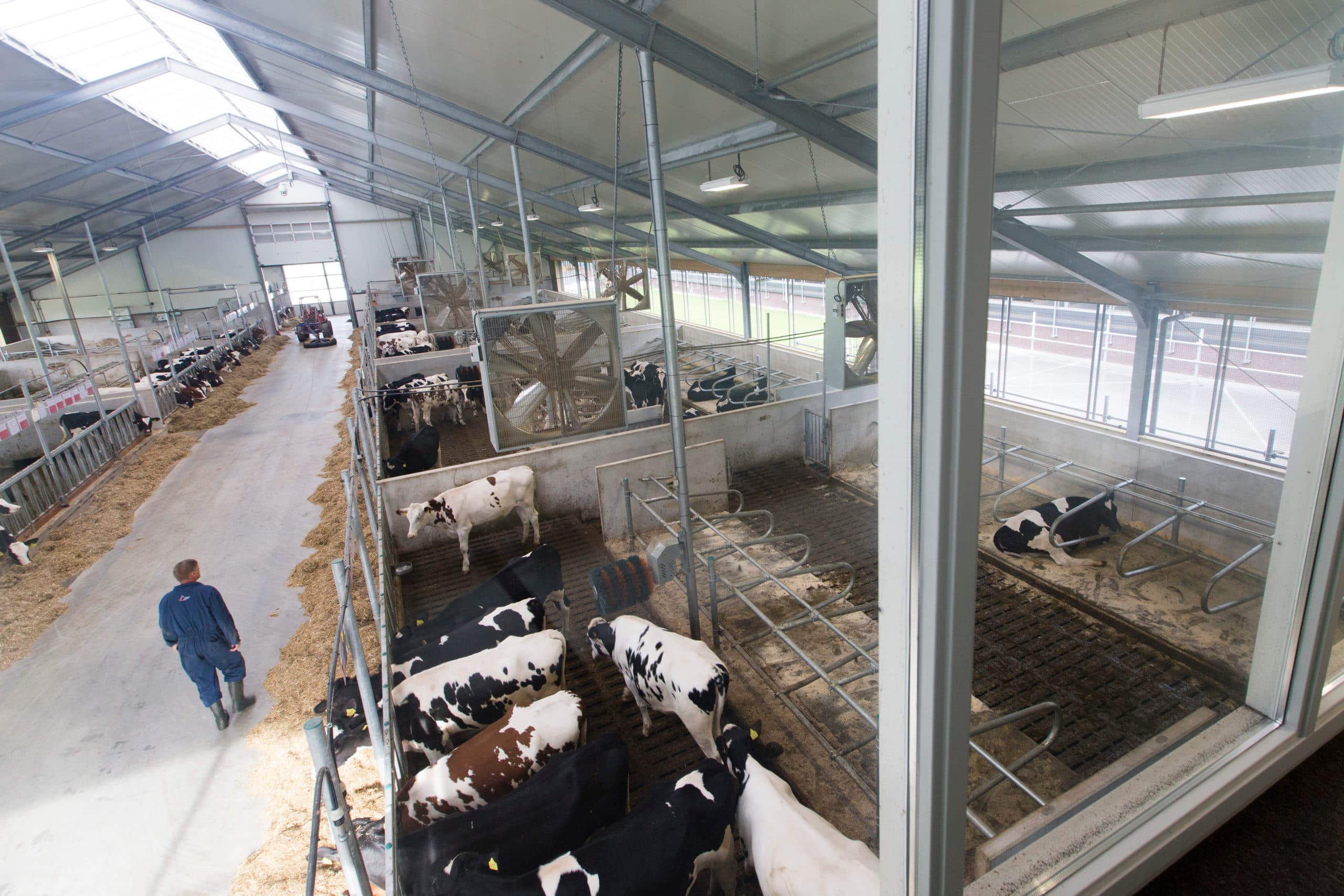 Foto: Anne van der Woude