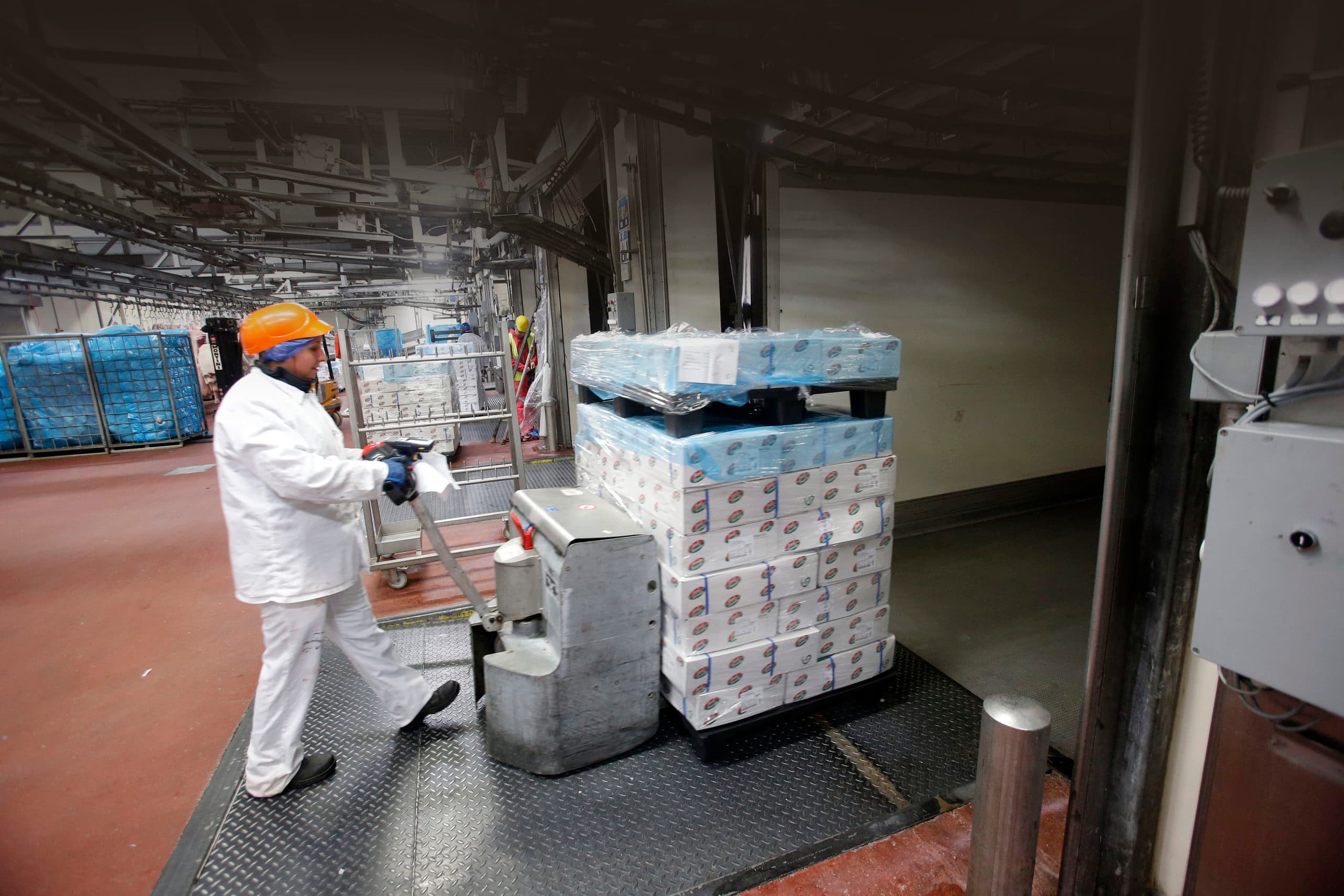 Inladen van varkensvlees voor export bij Vion in Boxtel. Analisten van de Rabobank voorspellen dat de internationale markt voor varkensvlees  in onrustig vaarwater komt.