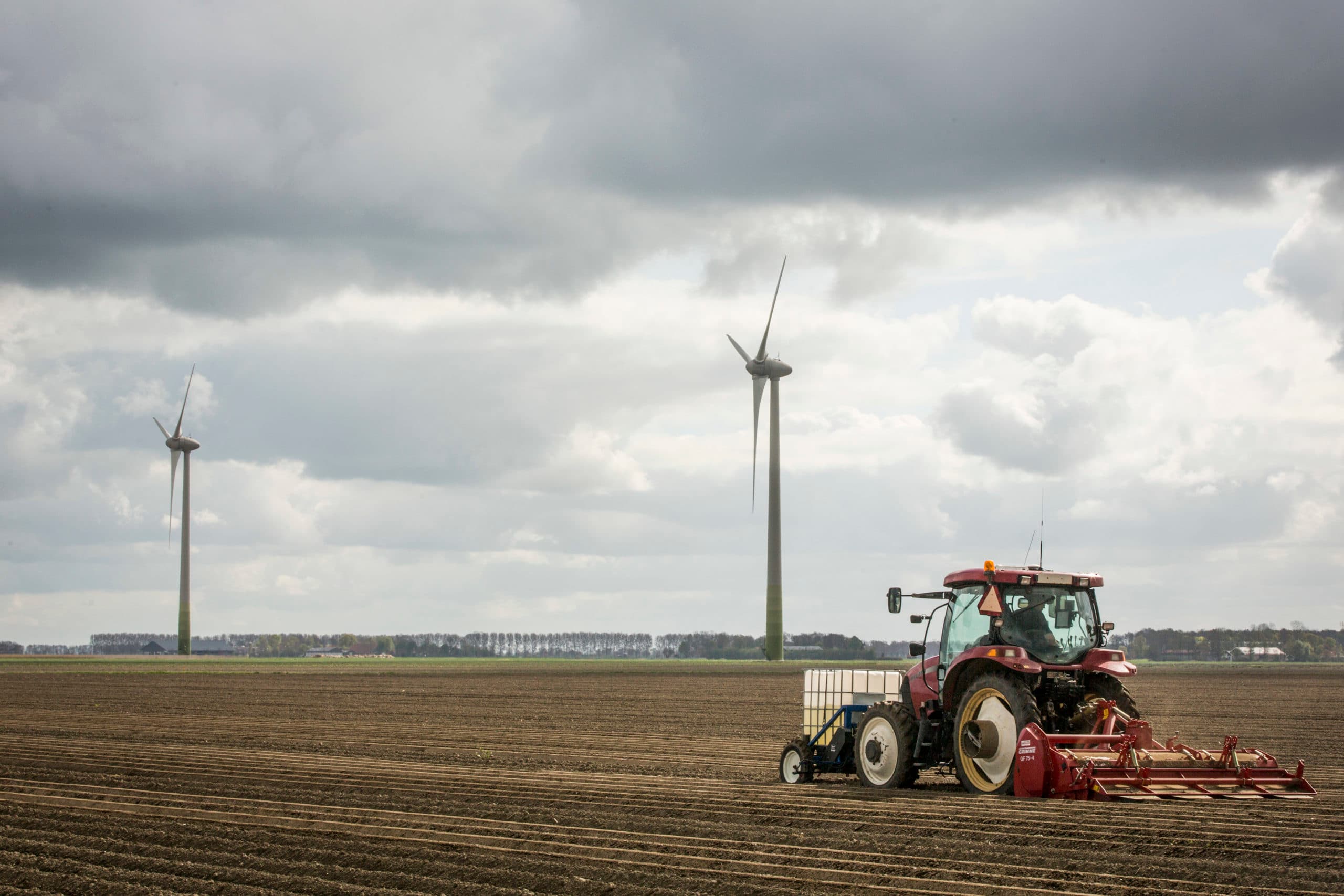 Foto: Koos Groenewold