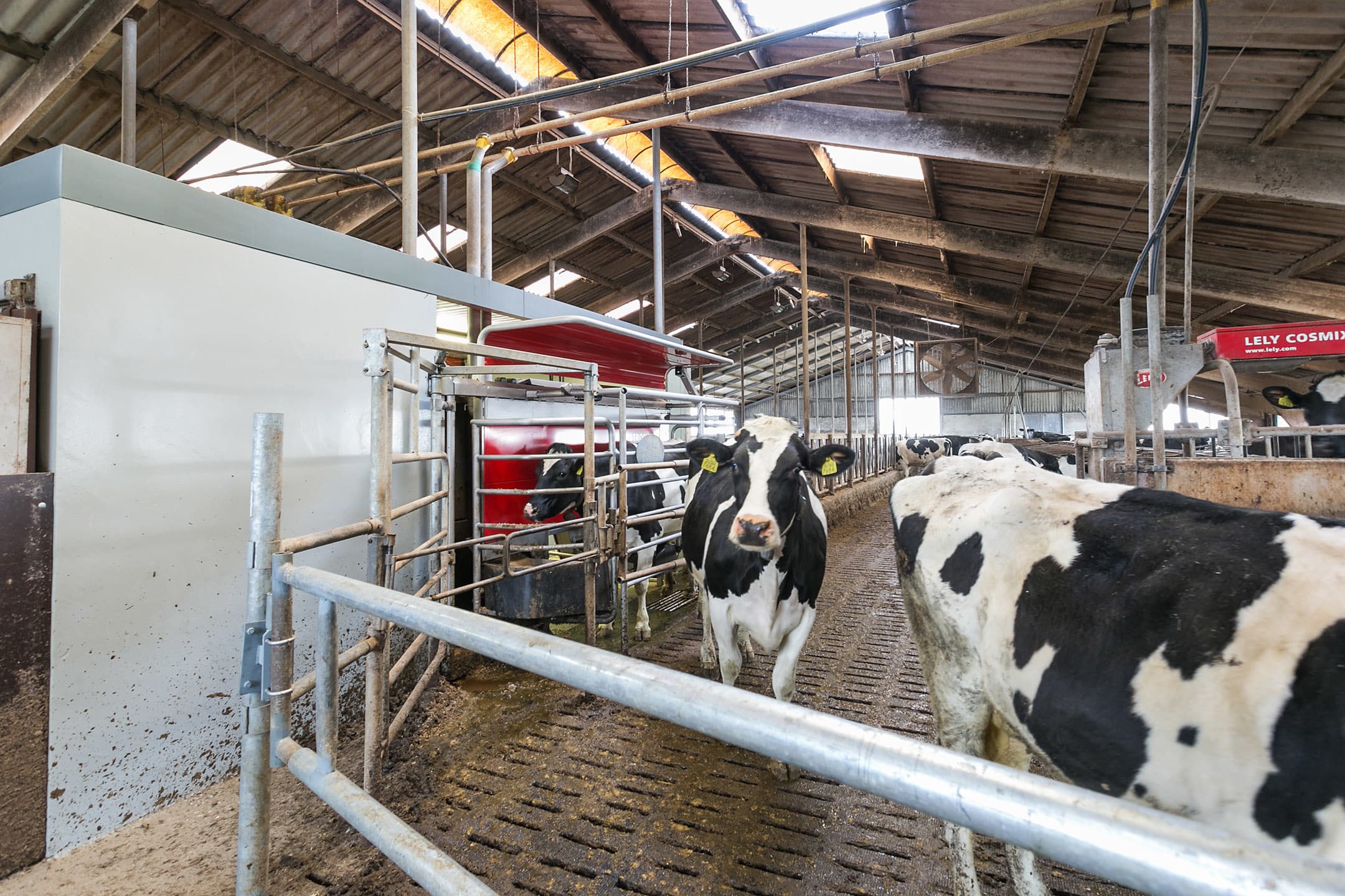 Een koper kan direct aan het melken maar moet binnen enkele jaren wel investeren in een nieuw dak. Ook is, zoals de Brabantse wetgeving voorschrijft, binnen enkele jaren een emissiearm systeem nodig in het oude gedeelte van de ligboxenstal.