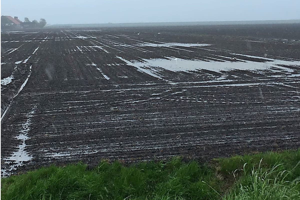 Wateroverlast op het Zeeuwse Schouwen-Duiveland. - Foto: De Groot en Slot