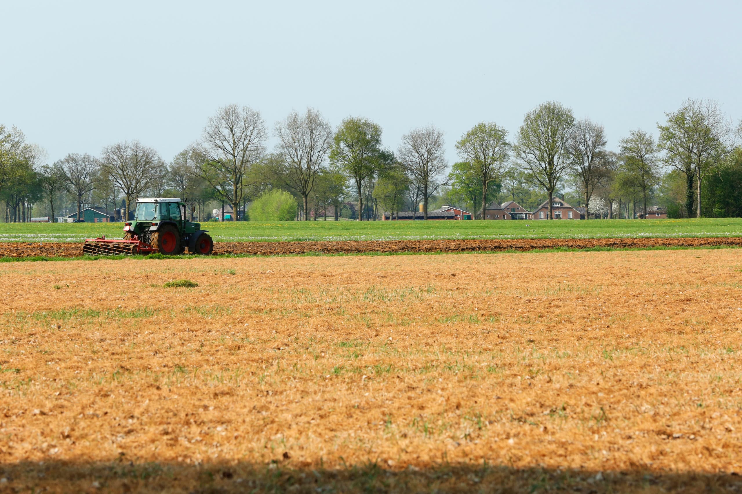 Percelen die een behandeling met glyfosaat hebben gehad, vallen op in het voorjaar. - Foto: Henk Riswick
