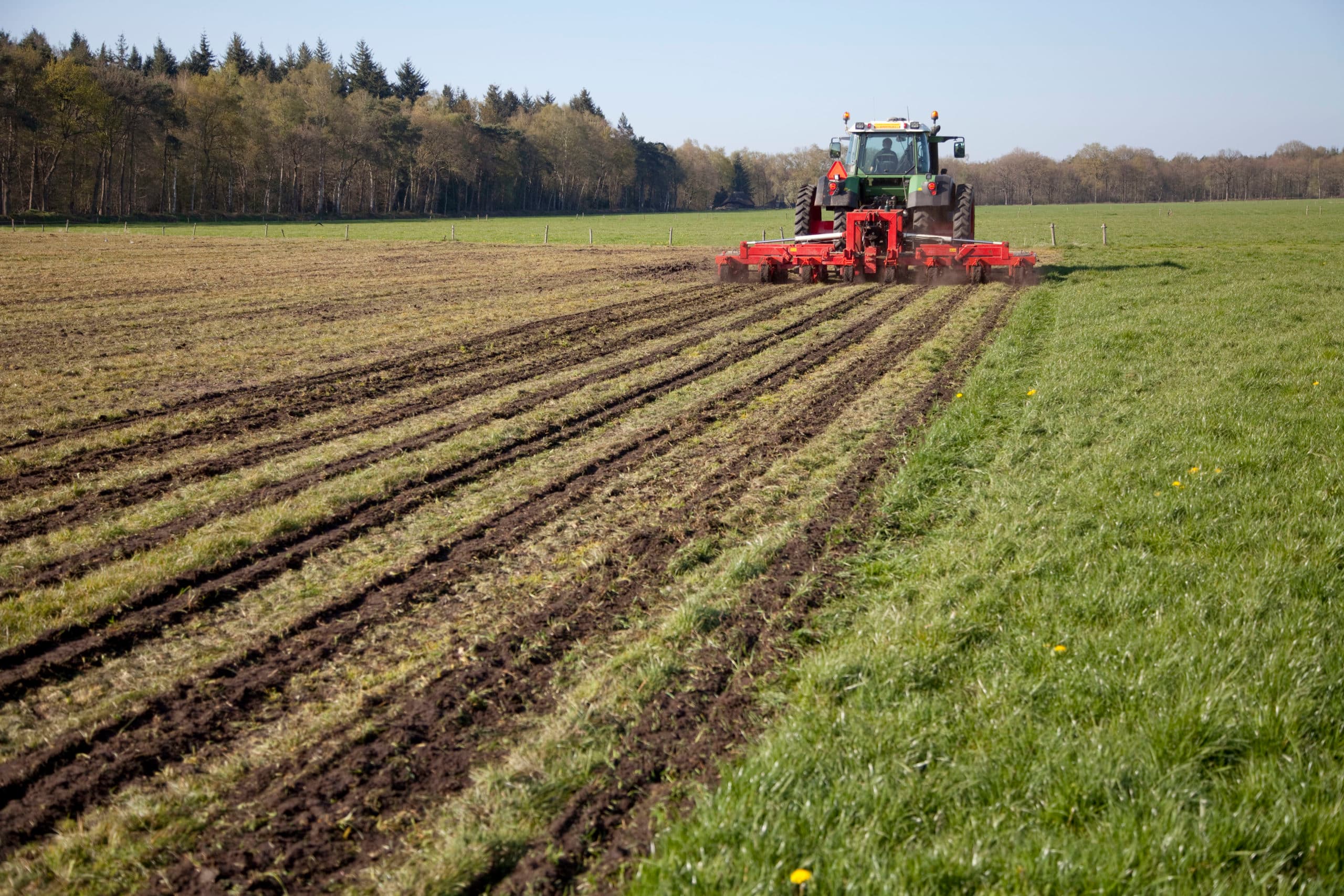 Foto: Jan Willem Schouten
