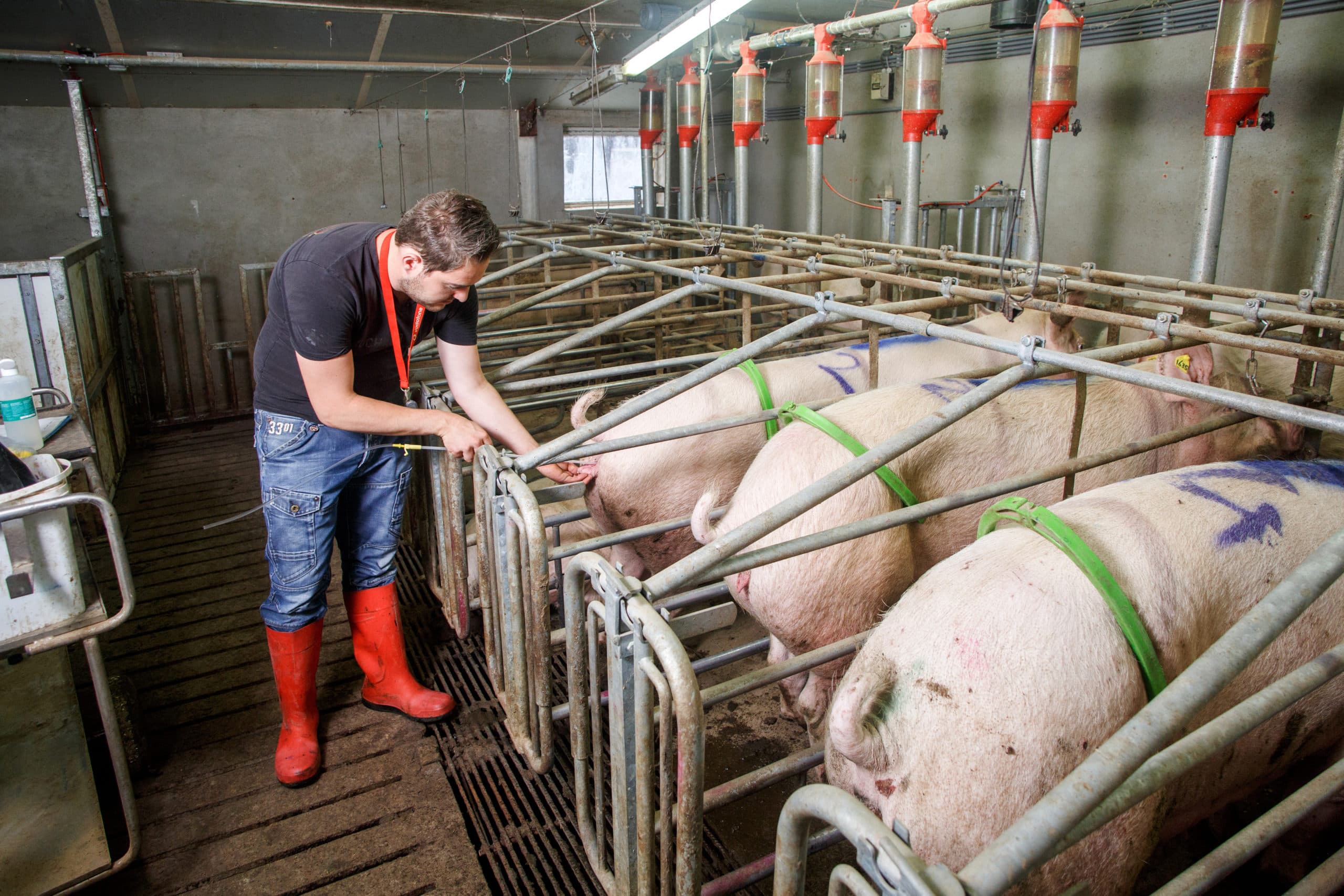 Foto: Herbert Wiggerman