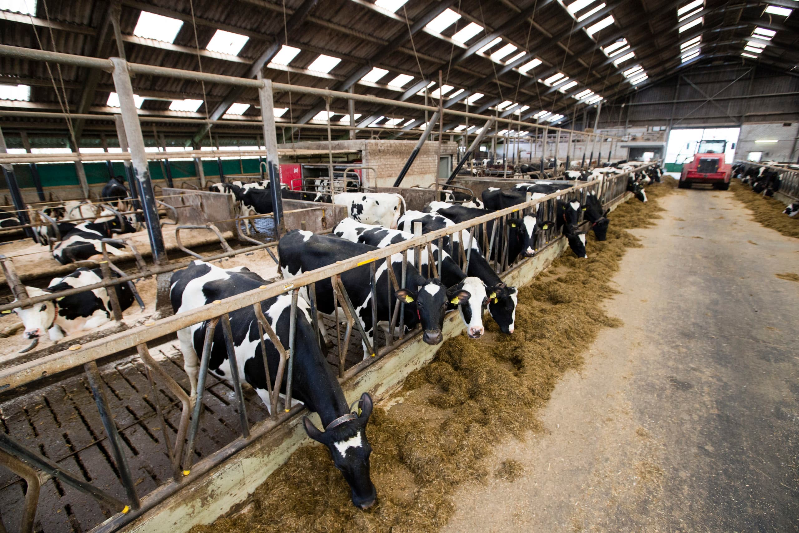 Foto: Anne van der Woude