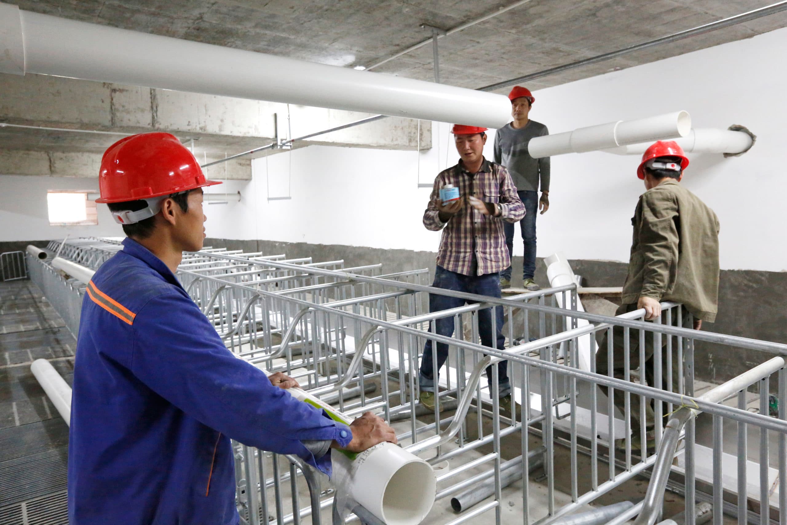 Varkensbedrijf in aanbouw in China. Het land importeert minder varkensvlees door meer eigen productie. - Foto: Henk Riswick