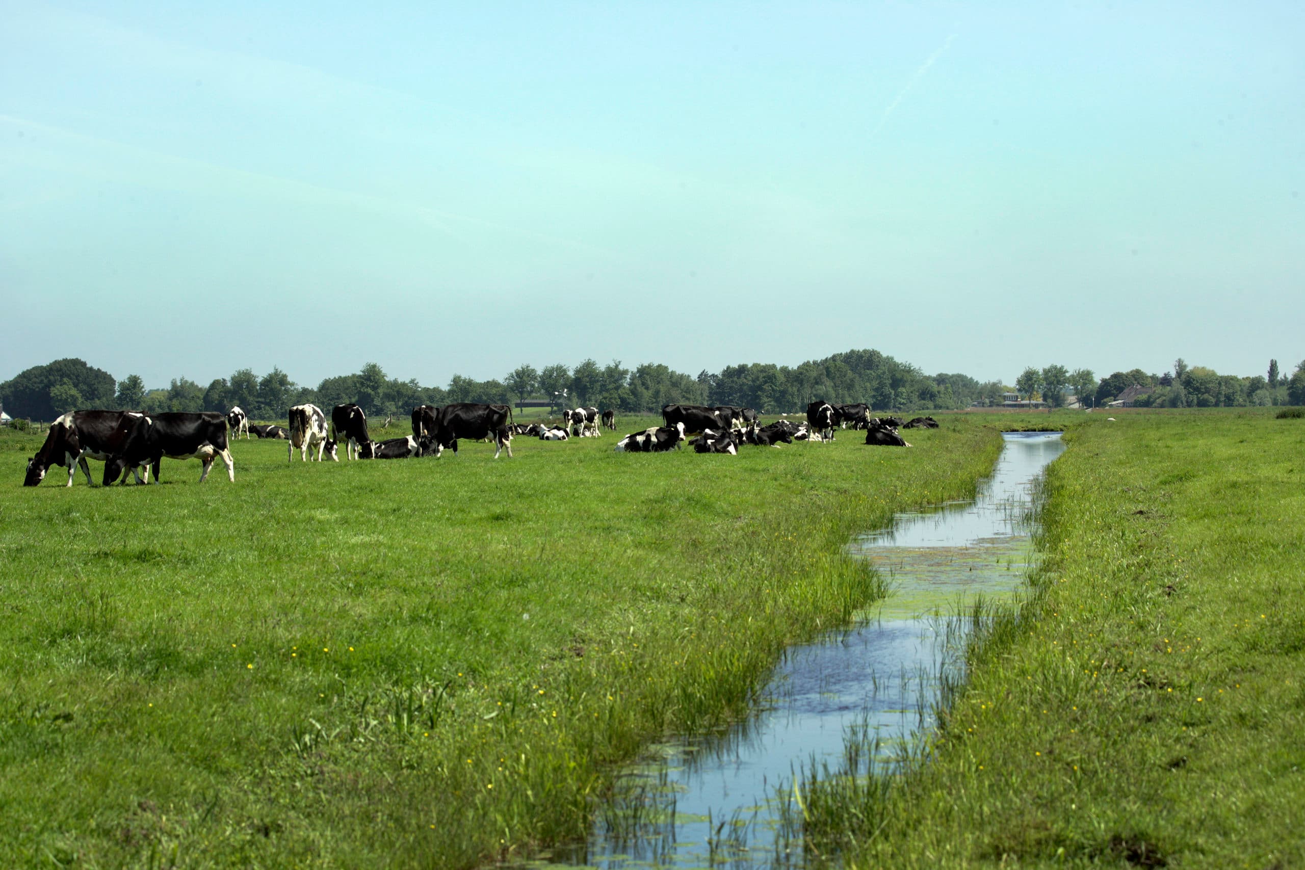 Foto: Henk Riswick