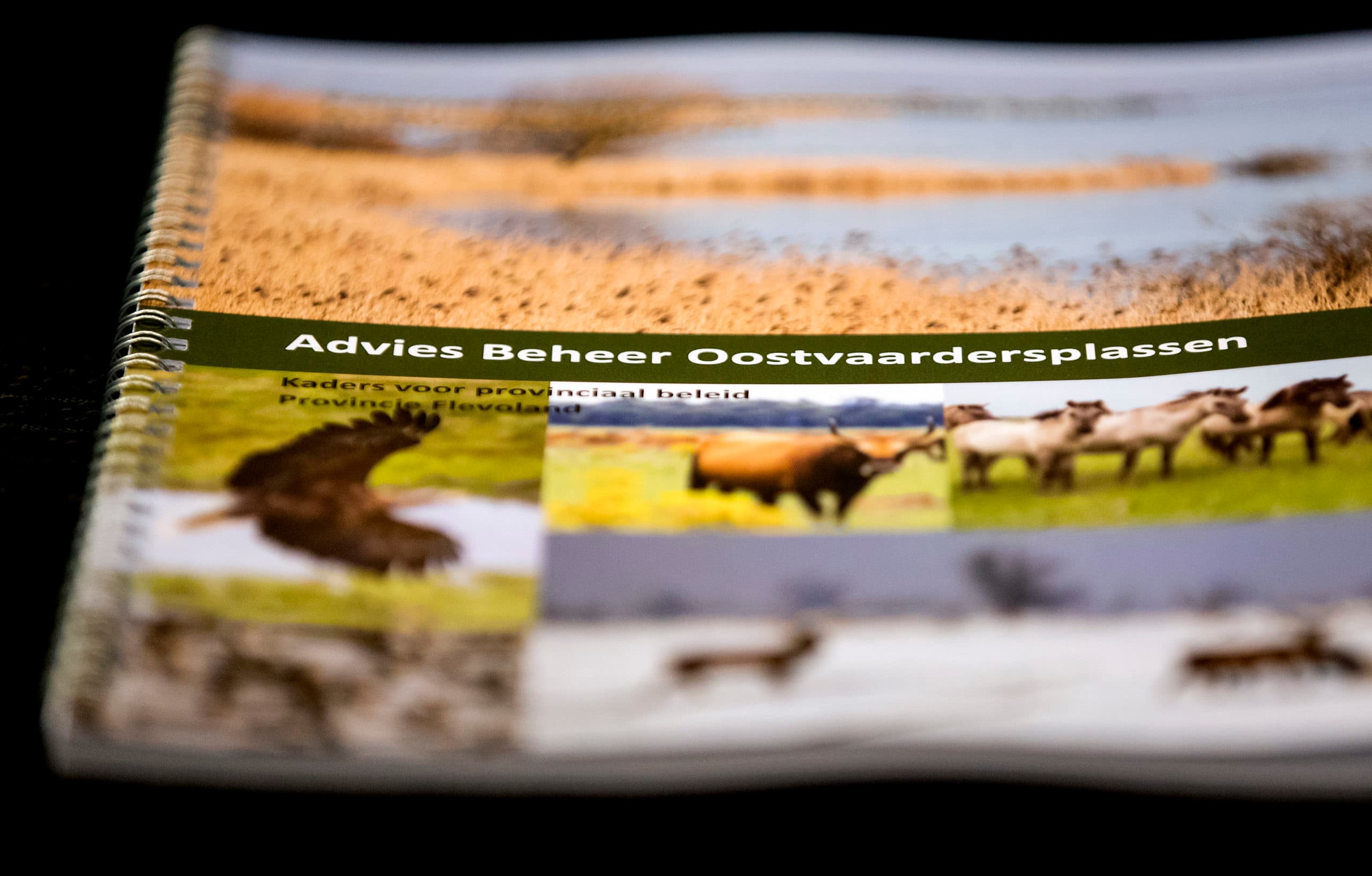 Foto: ANP