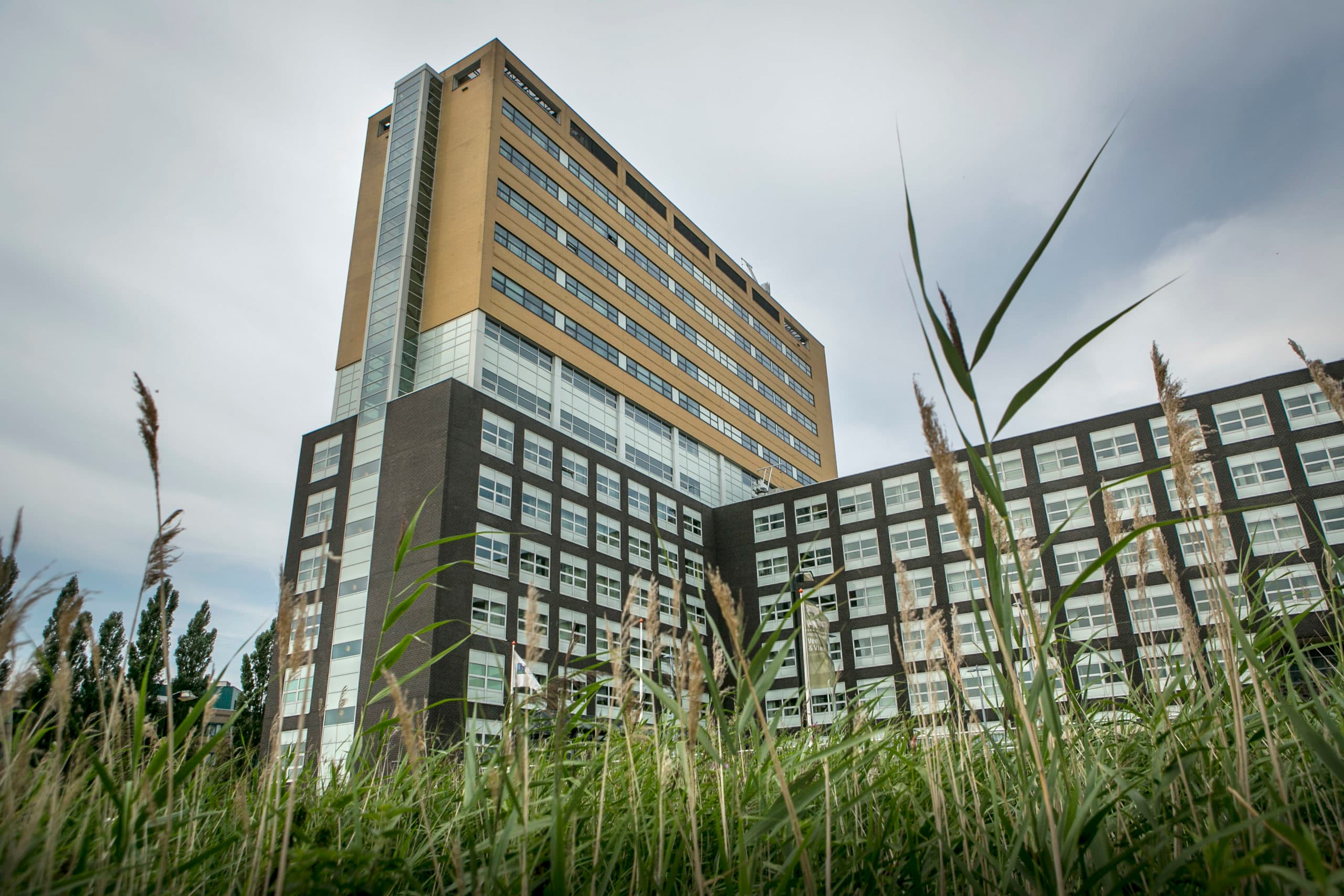 Foto: Roel Dijkstra