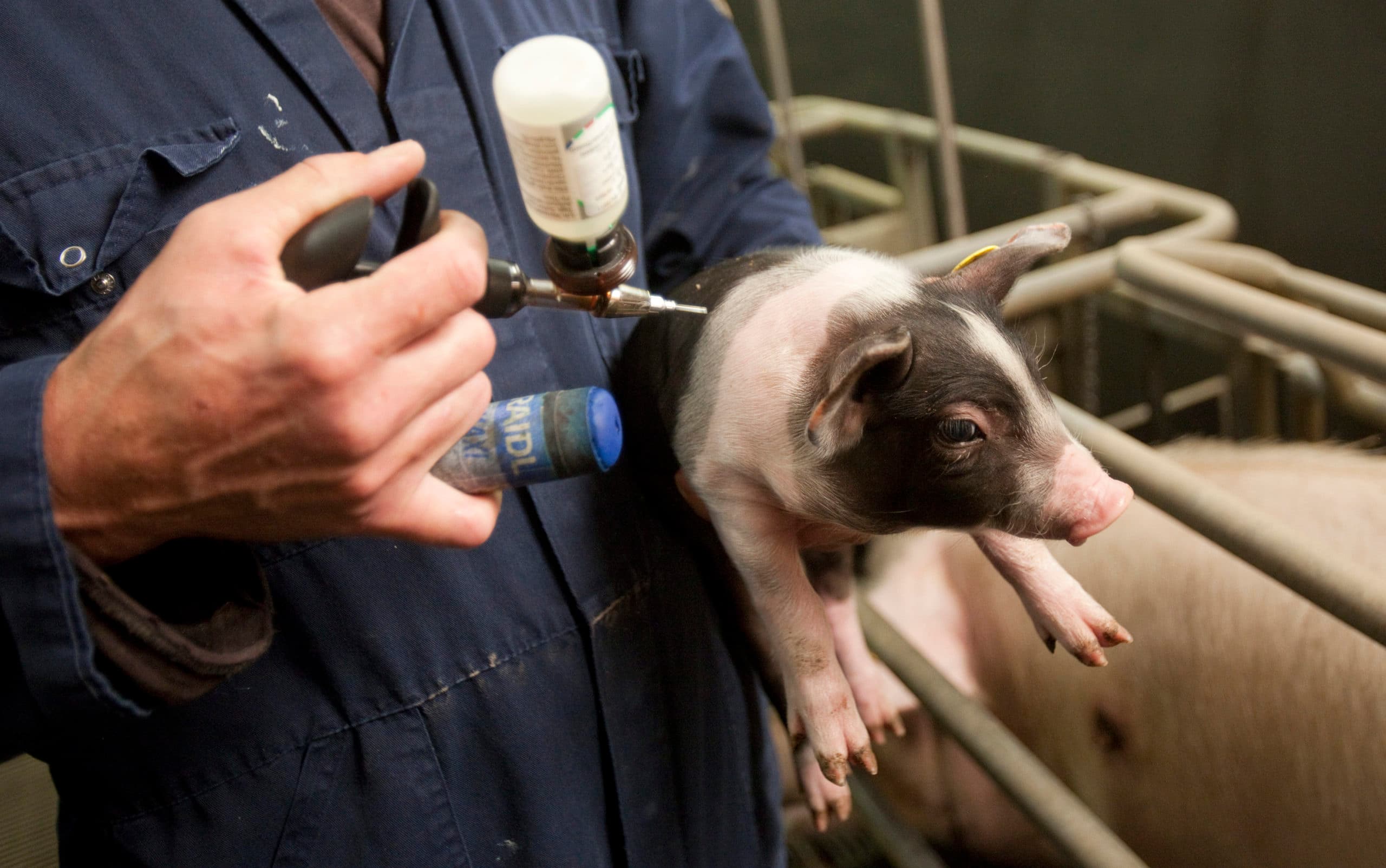 Parijs-akkoord voor antibioticaresistentie nodig