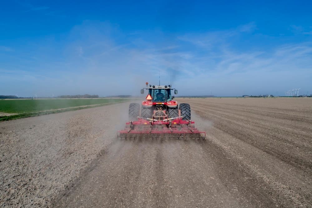 Het perceel was moeilijk te ploegen omdat de gele mosterd te veel stroopte. Priem besloot daarom te spitten met het risico dat de resten van de gele mosterd  last zouden geven bij het zaaiklaar maken van het perceel.