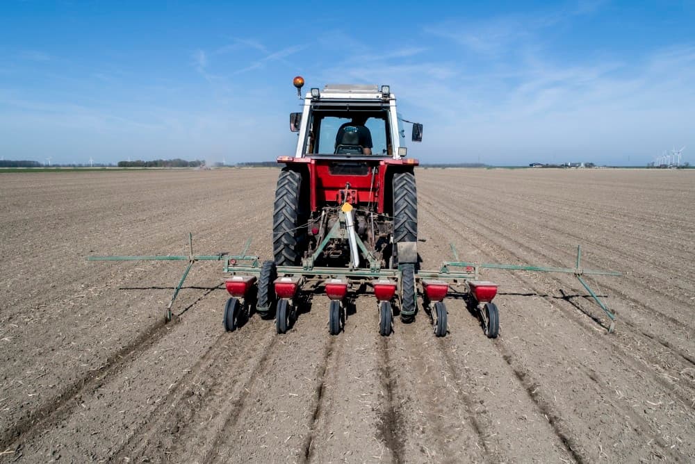 De maatschap poot met een Structural-snarenbedpootmachine. Hiermee kunnen alle maten gepoot worden en het systeem voorkomt dubbelen. Marel poot er ook het uitgangsmateriaal voor hun pootgoedteelt mee.
