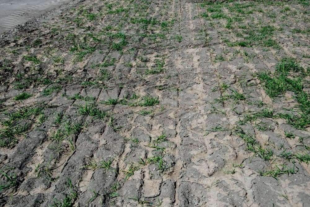 De Steyer 6150 CVT op rups heeft een zaaibedcombinatie van 6 meter breed. De gewassen worden tussen de vaste sporen op bedden geteeld, alle werkzaamheden zijn daarop afgestemd.