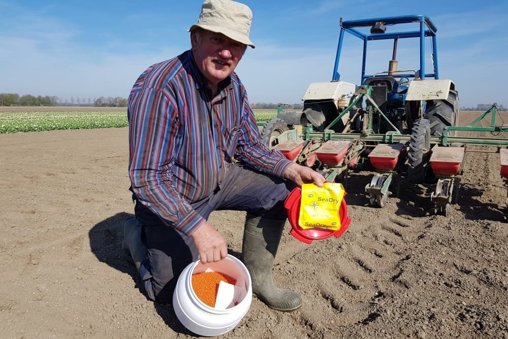 Op deze 35 % afslibbare kleigrond is dit ook niet zo verwonderlijk. Het zaad komt er mooi onder. Ook het uienzaaien ging hier zonder problemen.