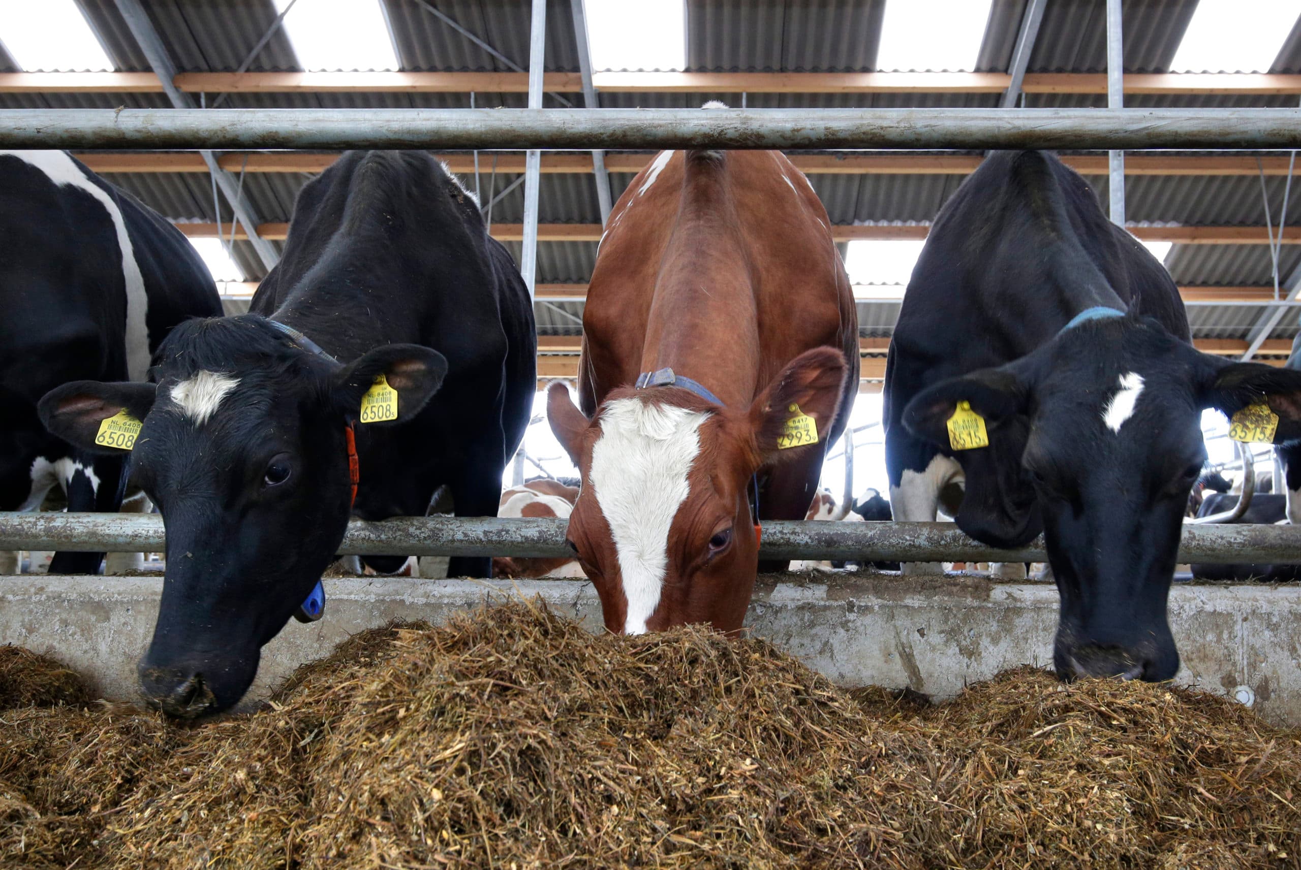 EU-commissie: geen zorg om I&R in Nederland