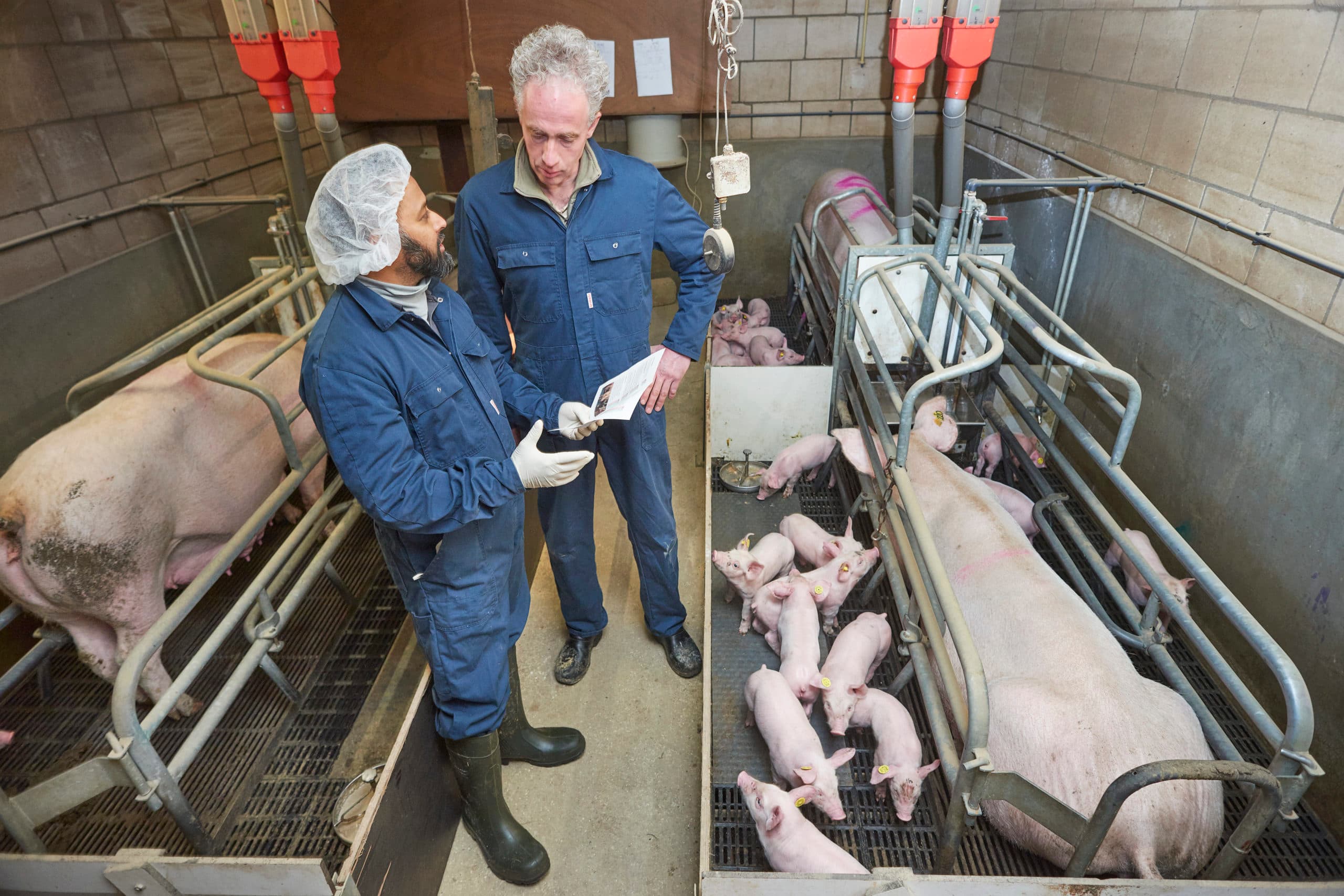 Foto: Van Assendelft