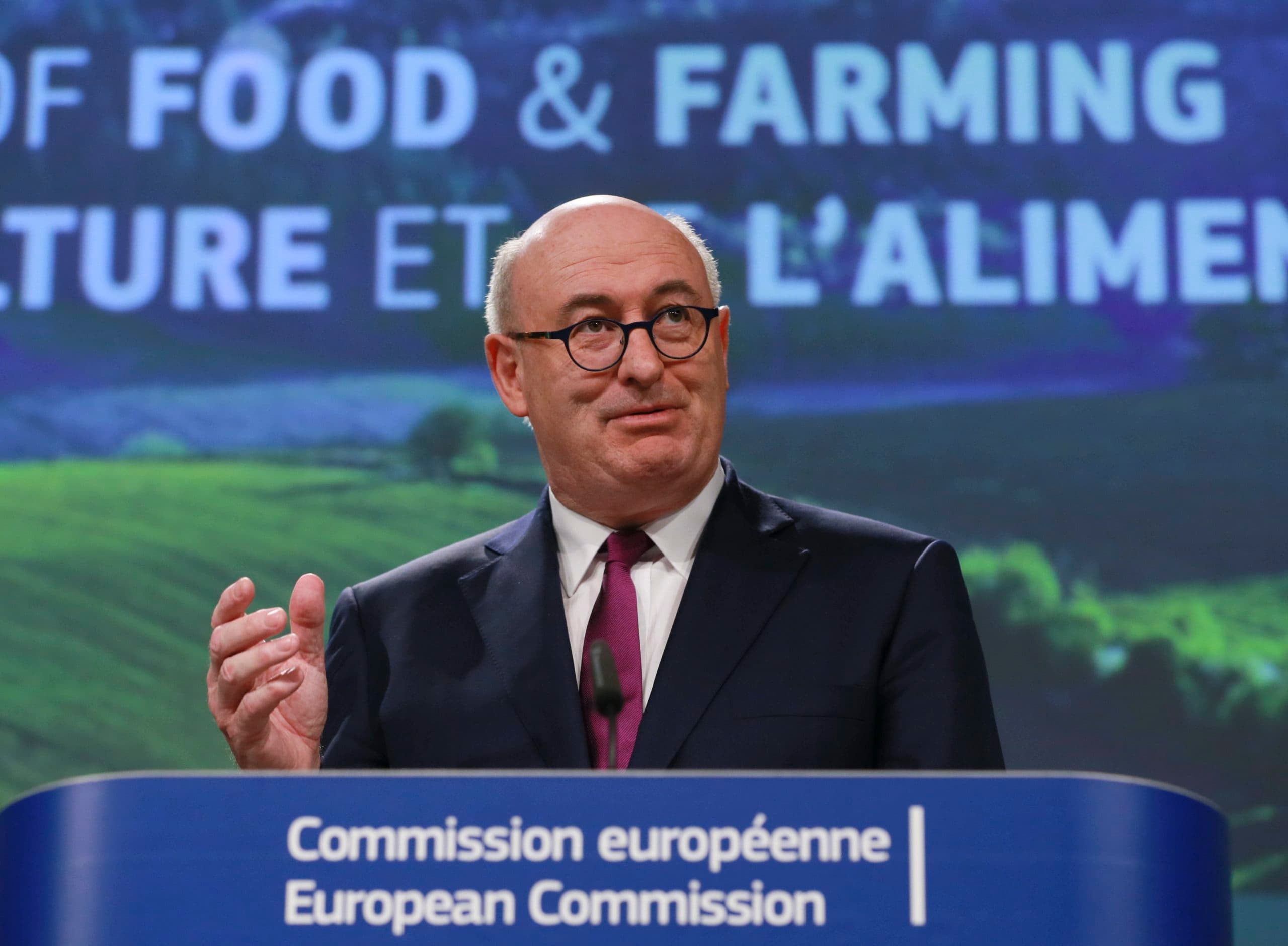 Phil Hogan. - Foto: ANP