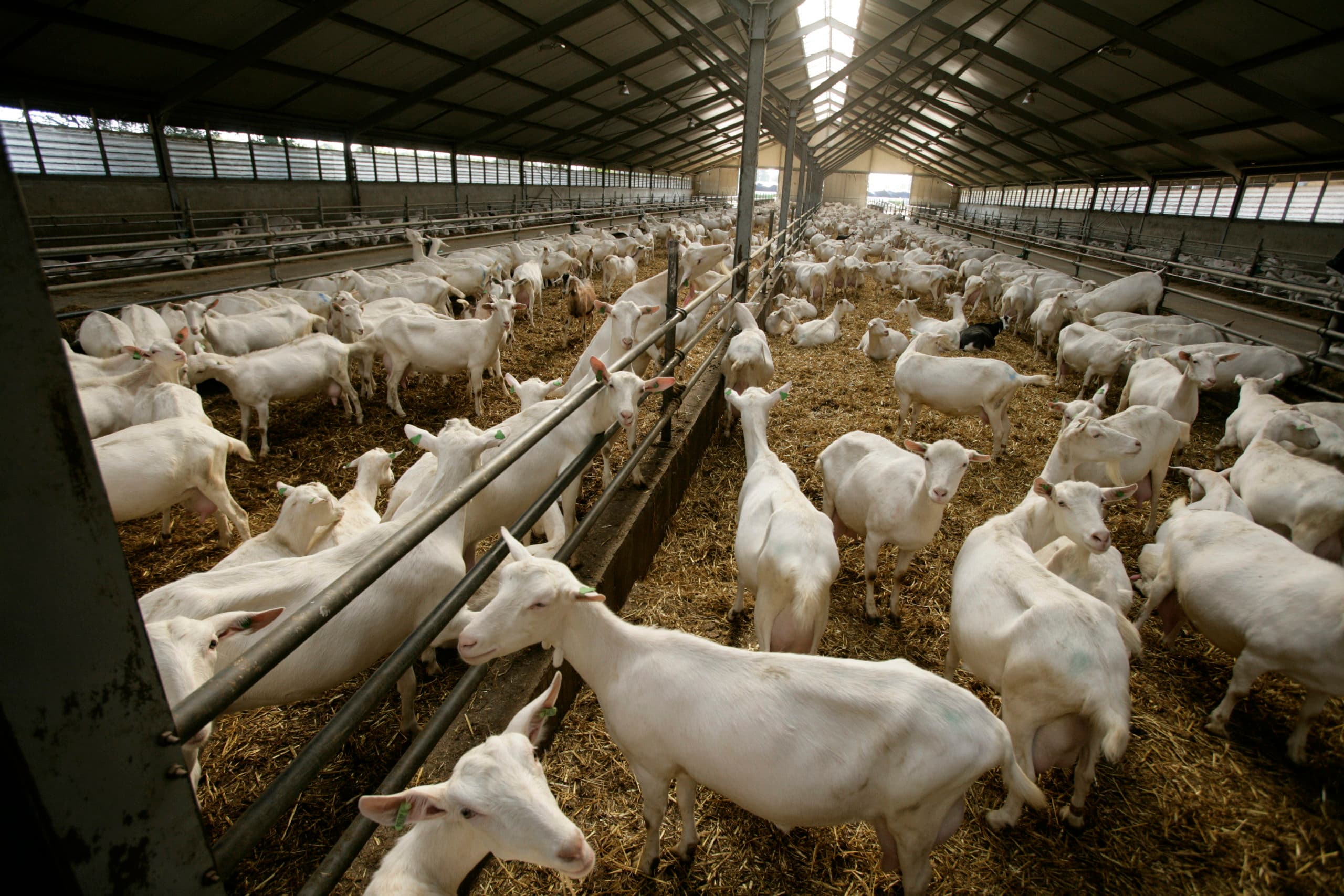 Foto: Koos Groenewold
