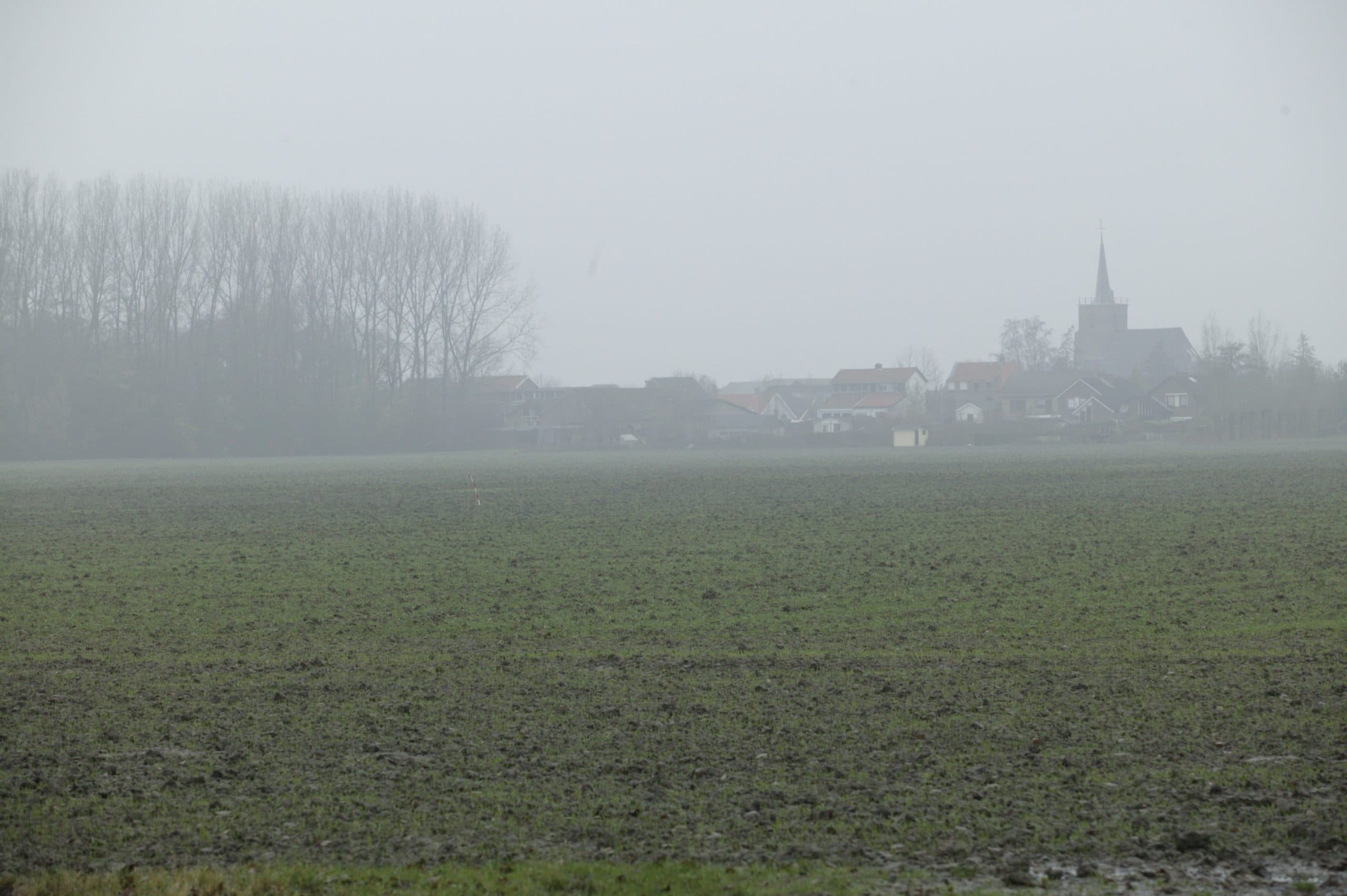 Foto: Henk Riswick