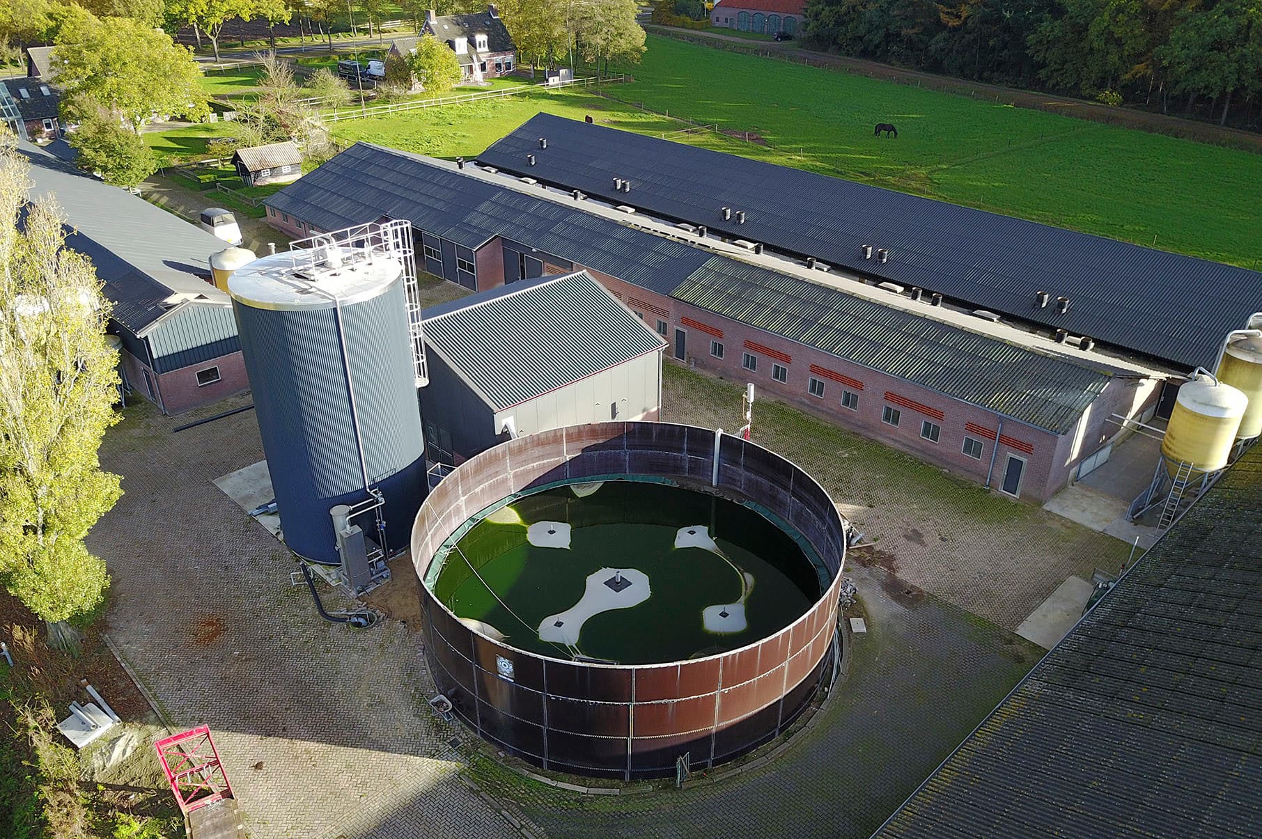 Foto: Bert Jansen