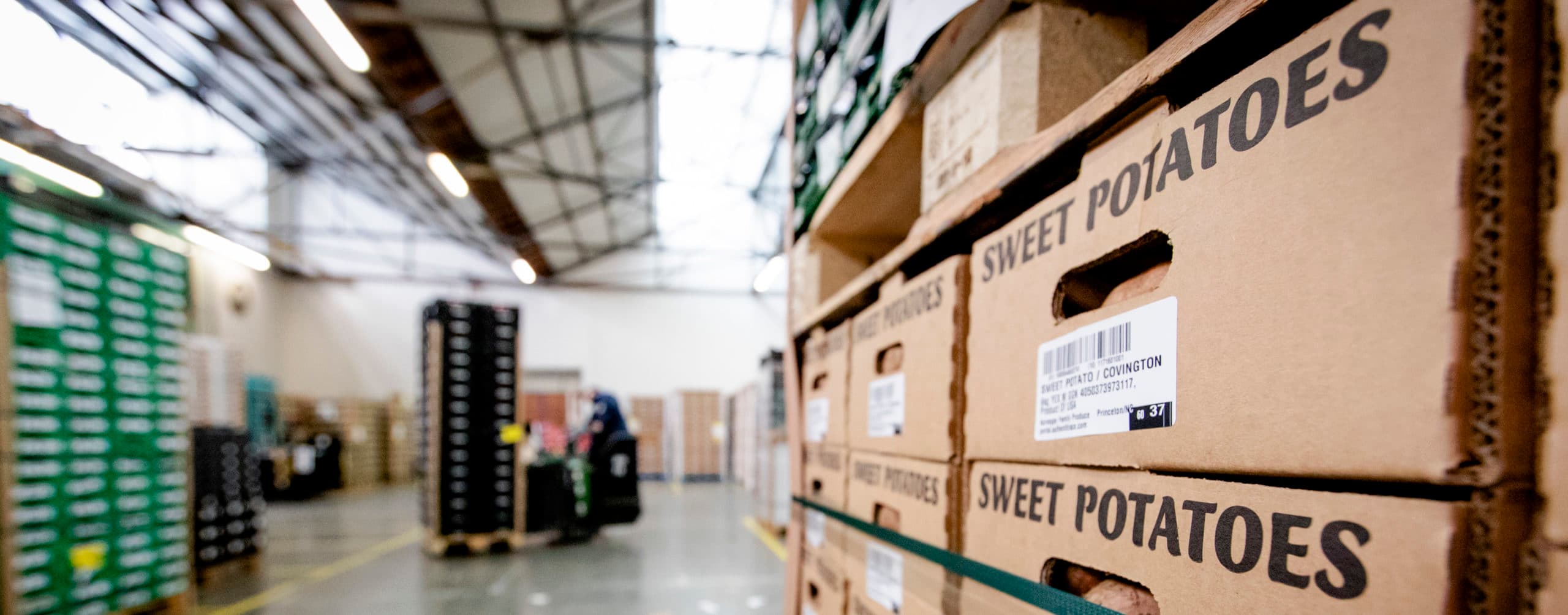 POELDIJK - Medewerkers van ABC Logistics maken kisten met groenten en fruit gereed voor de export. De Nederlandse export van landbouwproducten is vorig jaar gestegen naar het recordniveau. ANP ROBIN VAN LONKUIJSEN