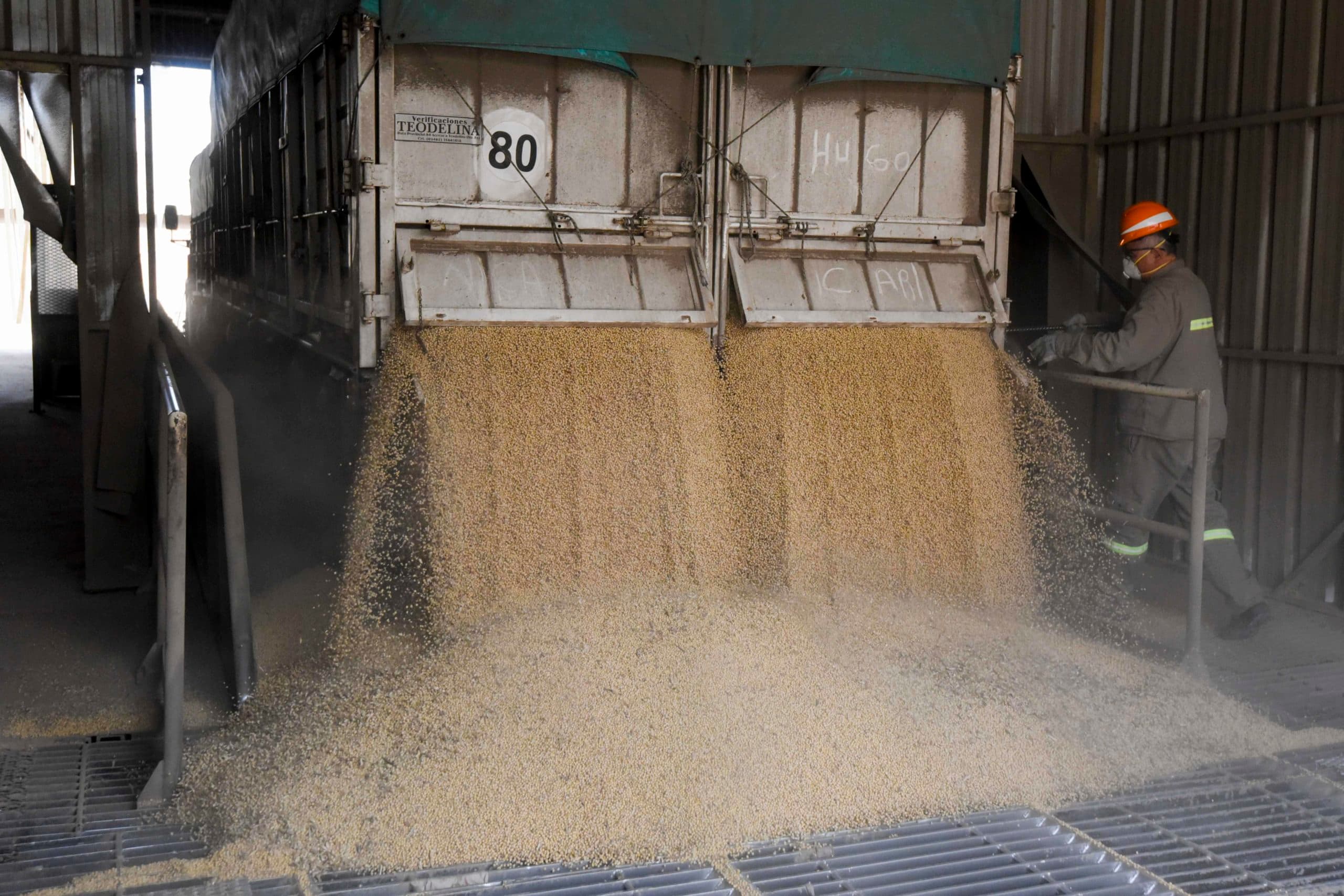 2017-09-13 15:16:05 Soy beans are unloaded from a lorry at the industrial complex of the Louis Dreyfus Company in General Lagos, Santa Fe province, Argentina on September 13, 2017.  After a stoppage of one month, Argentina's biodiesel exports restart with the European market, Spain in particular, as buyer. Argentina can produce 4.5 million tons of vegetal oil --the base for biodiesel, used mainly in cars-- per year, from which one million for the local market.  / AFP PHOTO / EITAN ABRAMOVICH
