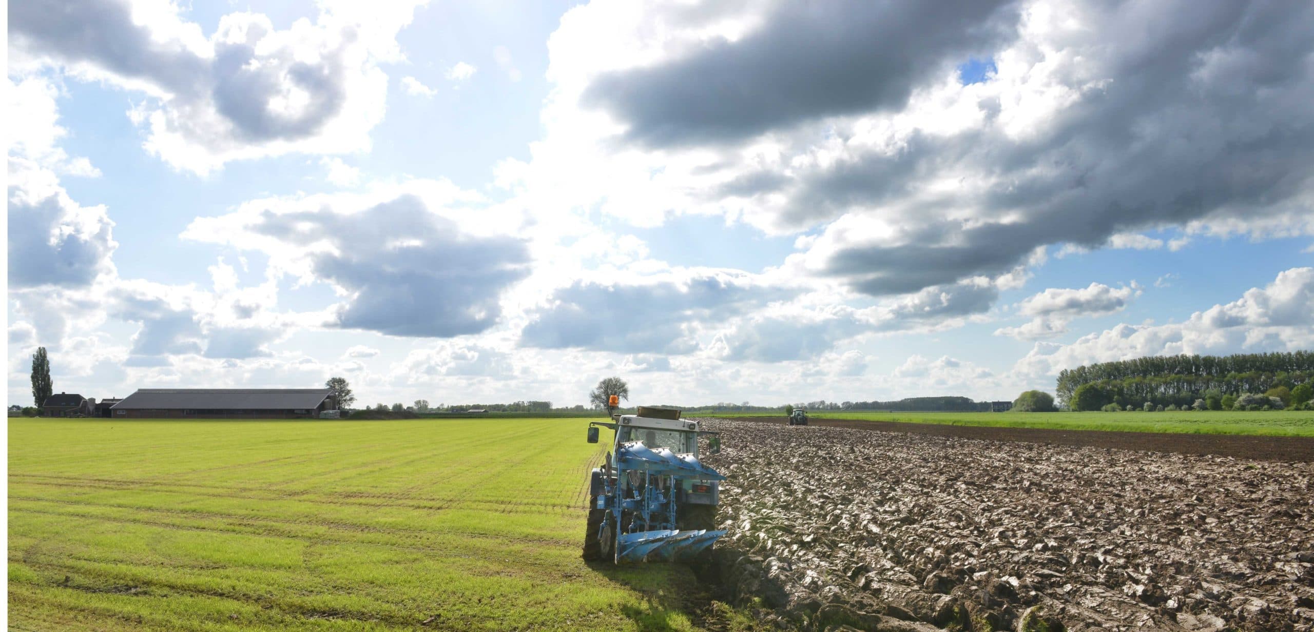 Foto: William Hoogteyling