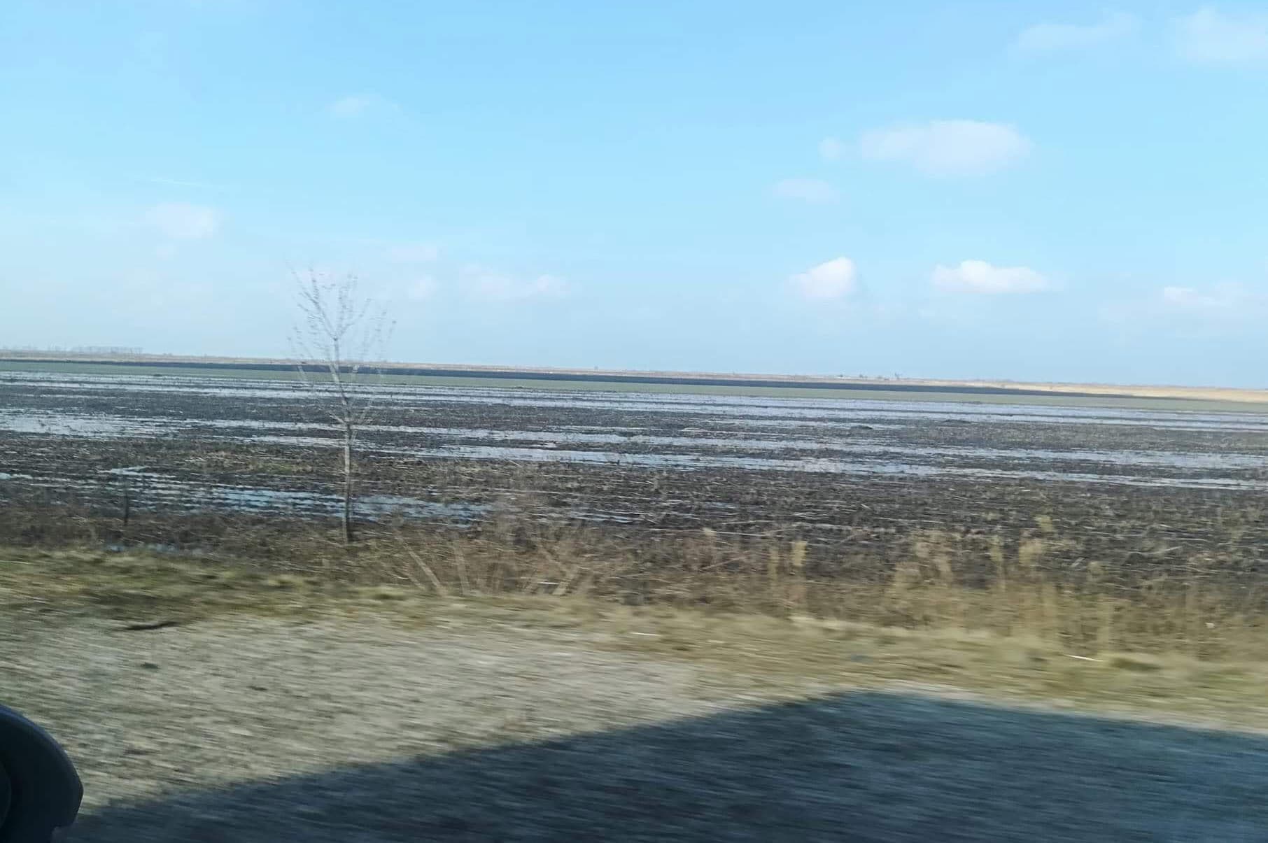 Foto: Ronald Scholten