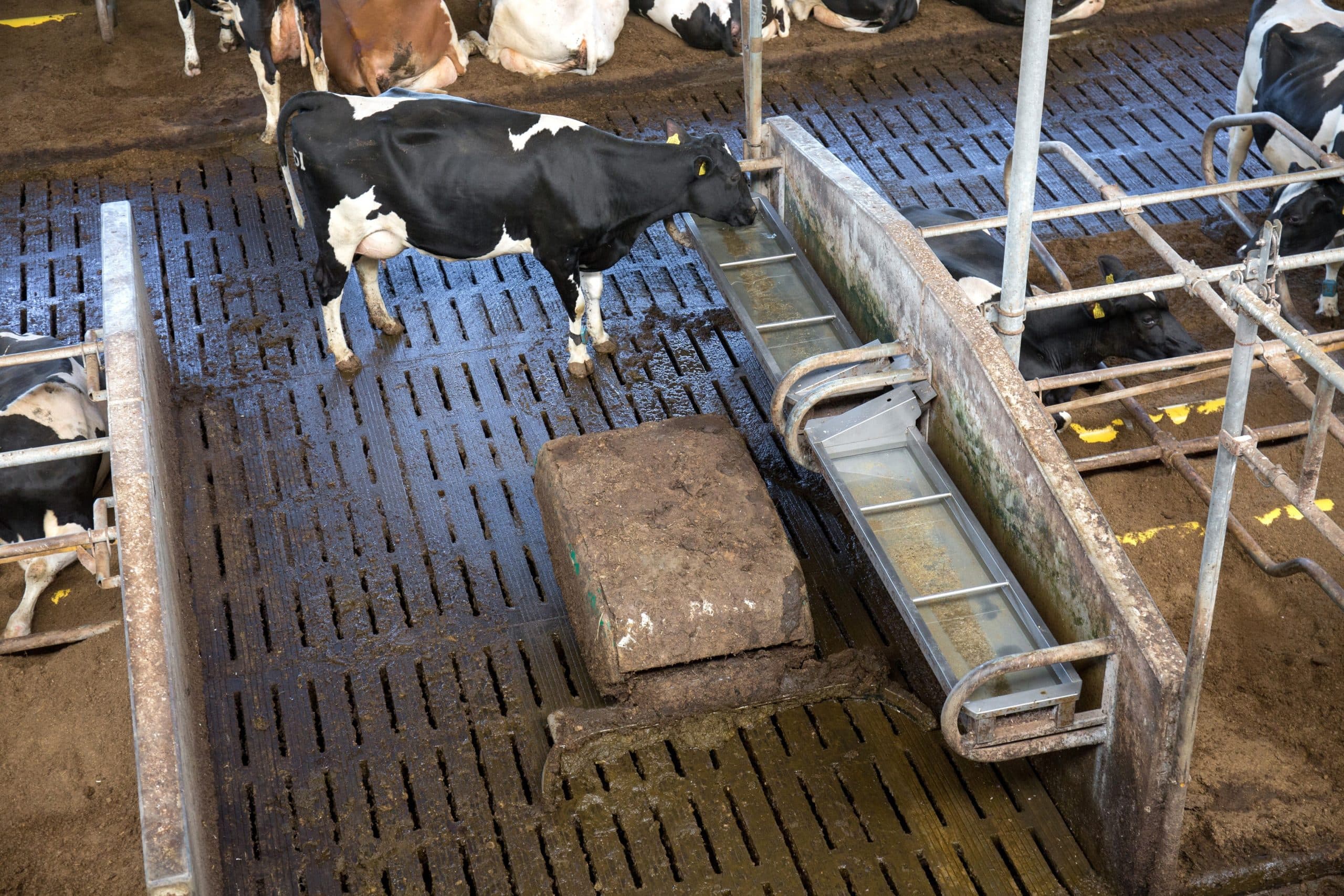 Foto: Herbert Wiggerman