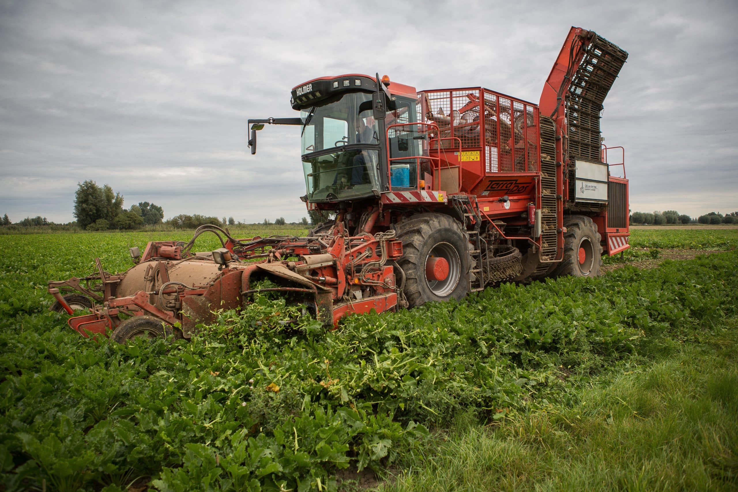 Foto: Peter Roek