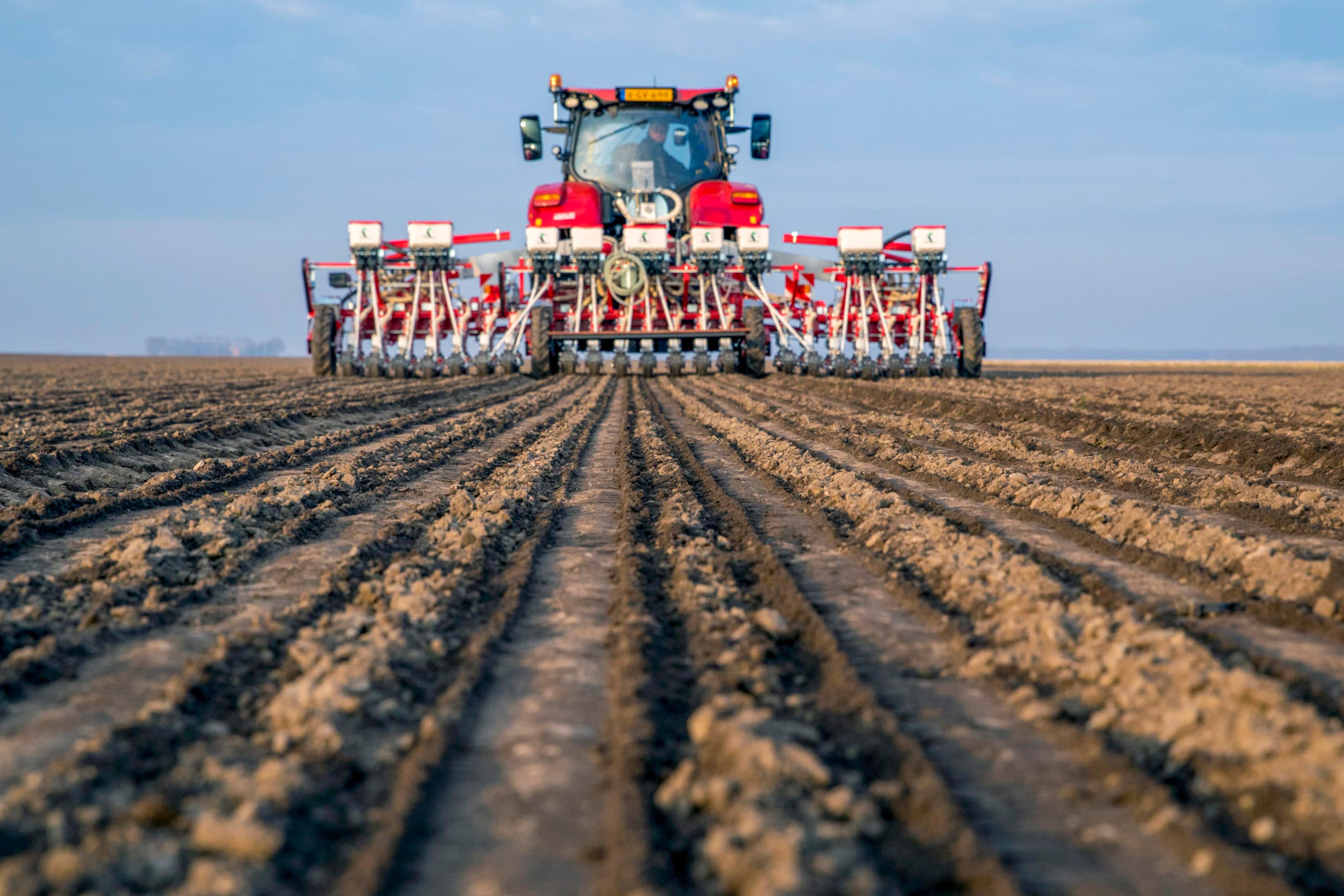 Het zaaien van uien. Het areaal krimpt, zeggen uienspecialisten. - Foto: Koos van der Spek