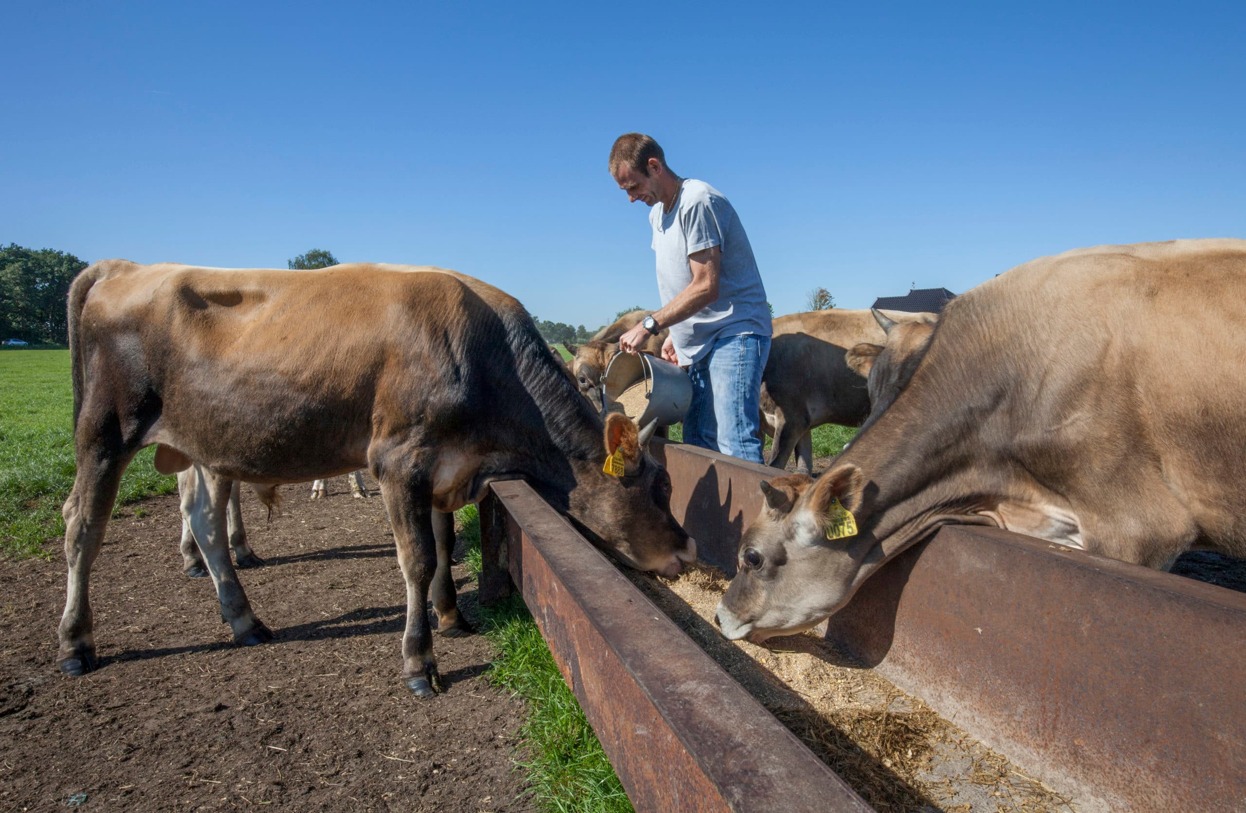 Foto: jan Willem Schouten