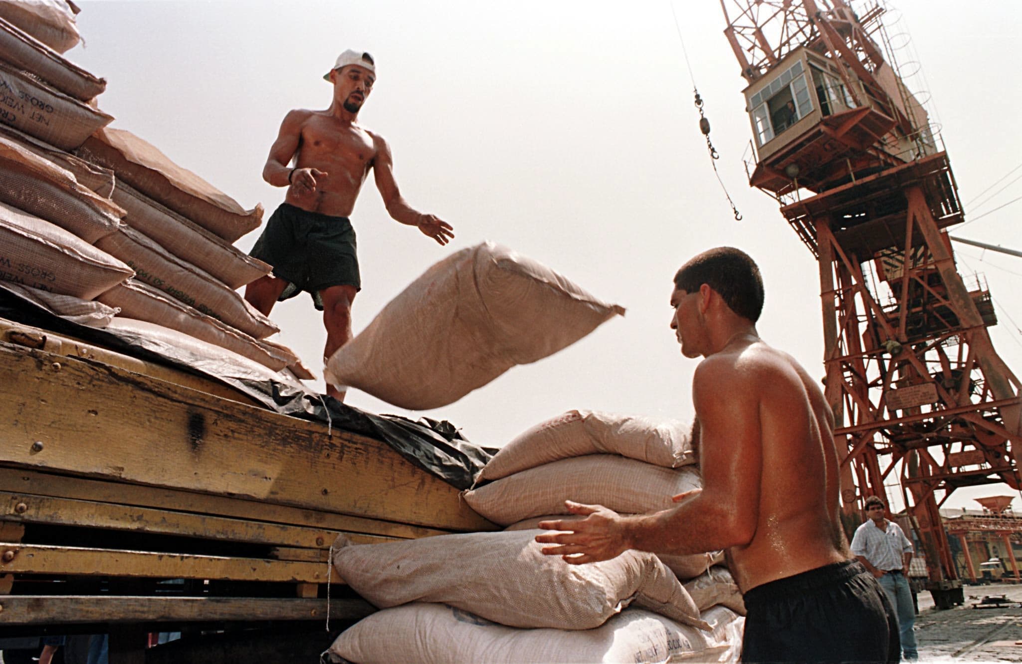 1997-09-16 00:00:00 Workers at the Santos Port, 90kms (55 miles) southeast of Sao Paulo, unload sugar sacks for export 13 September. The privatization of the docks at Santos Port, the largest in Latin America, will begin 17 September at the Sao Paulo Stock Exchange with the auction of the Containers Terminal (TECON). The bid for TECON reportedly will start at 92 million USD. It is expected that by the end of 1997 all the docks at the port will be privatized. Official figures say that in 1996 some 36 million tons of material passed through the port, representing 35 percent of Brazil's import-export business.   AFP PHOTO/Marie HIPPENMEYER