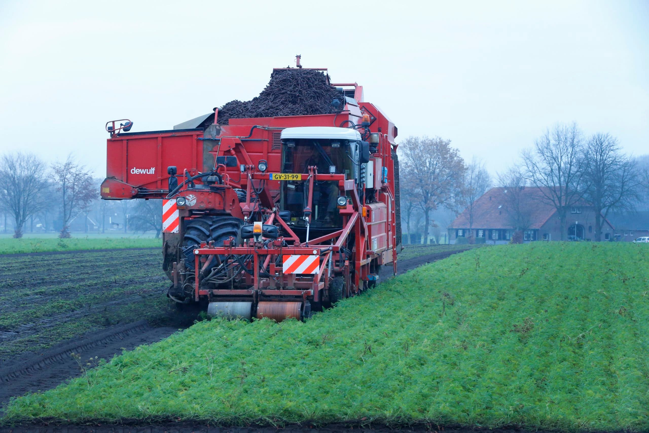 Foto: Henk Riswick