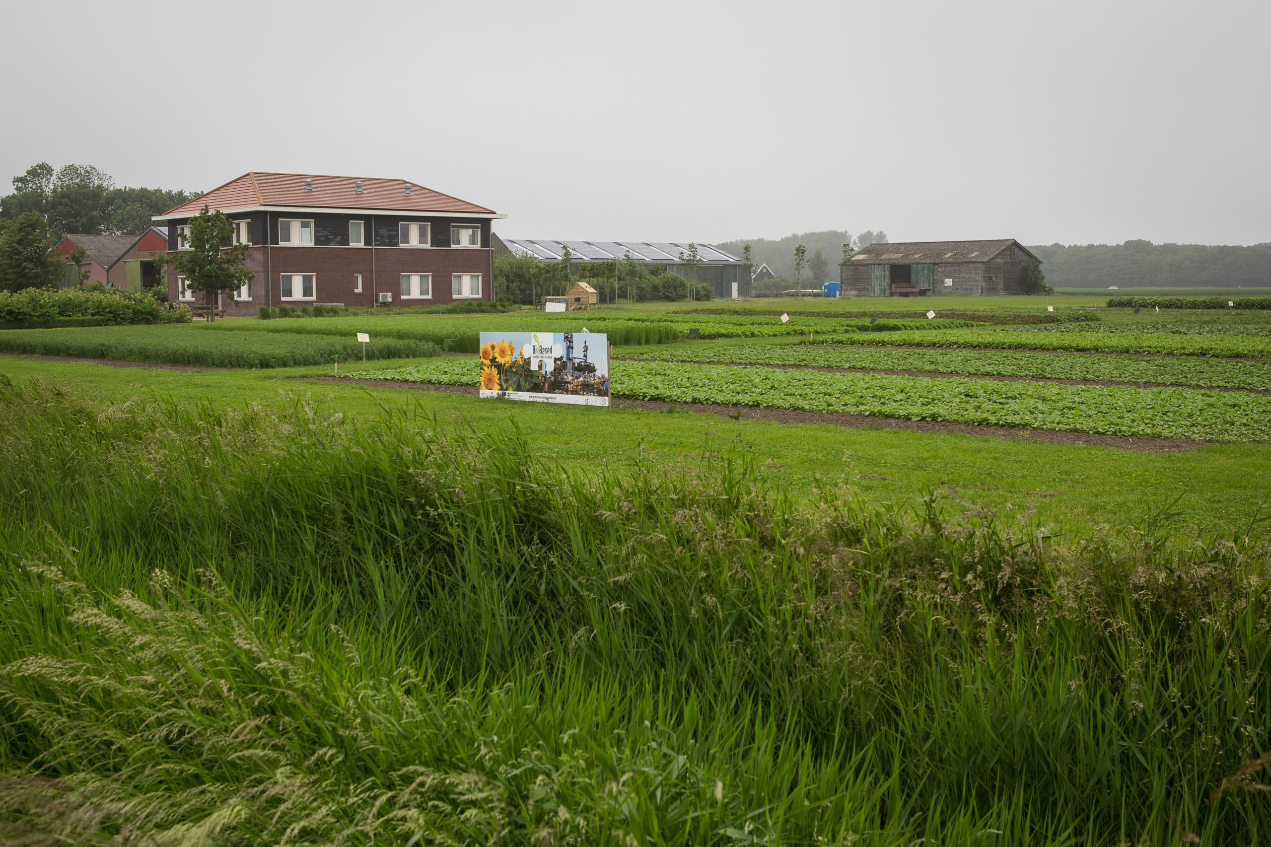 Foto: Peter Roek