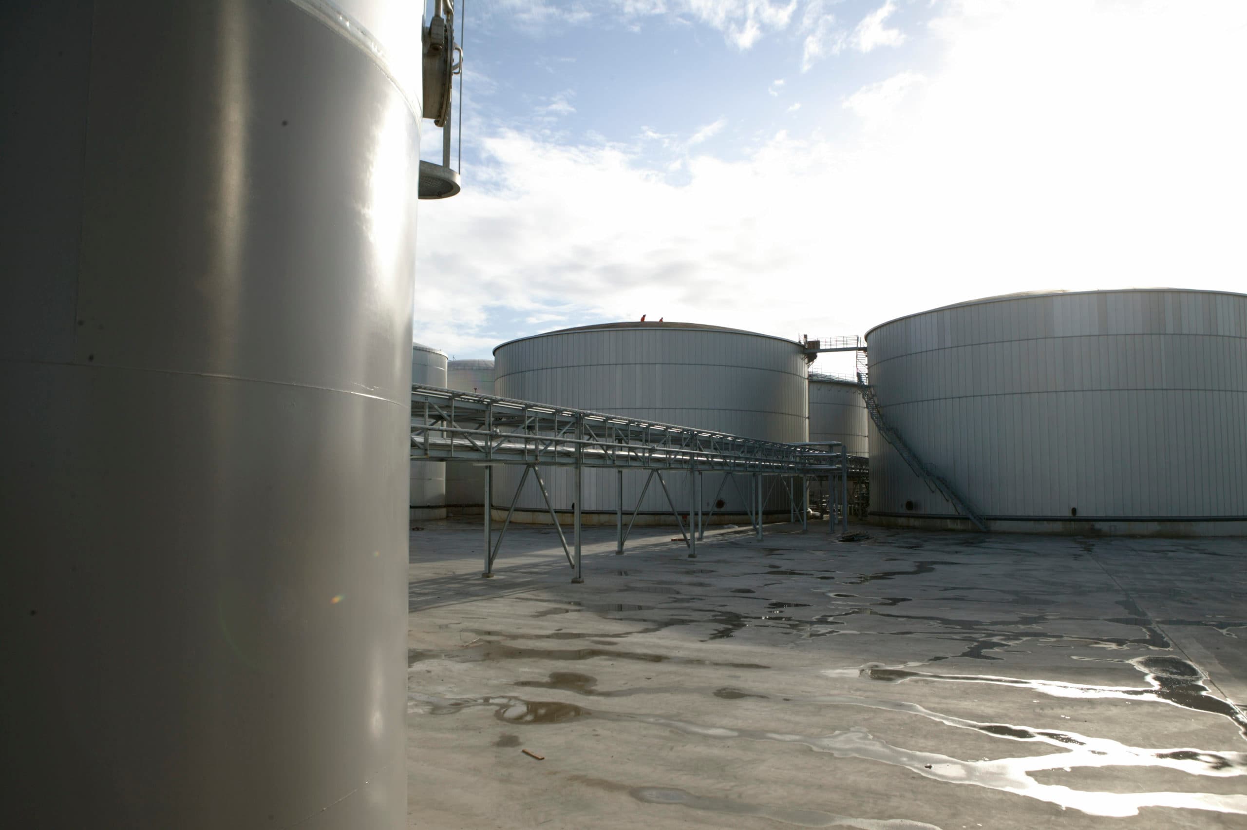 De raffinaderij voor palmolie van IOI Loders Croklaan Oils op de Maasvlakte in Rotterdam. - Foto: Michel Zoeter