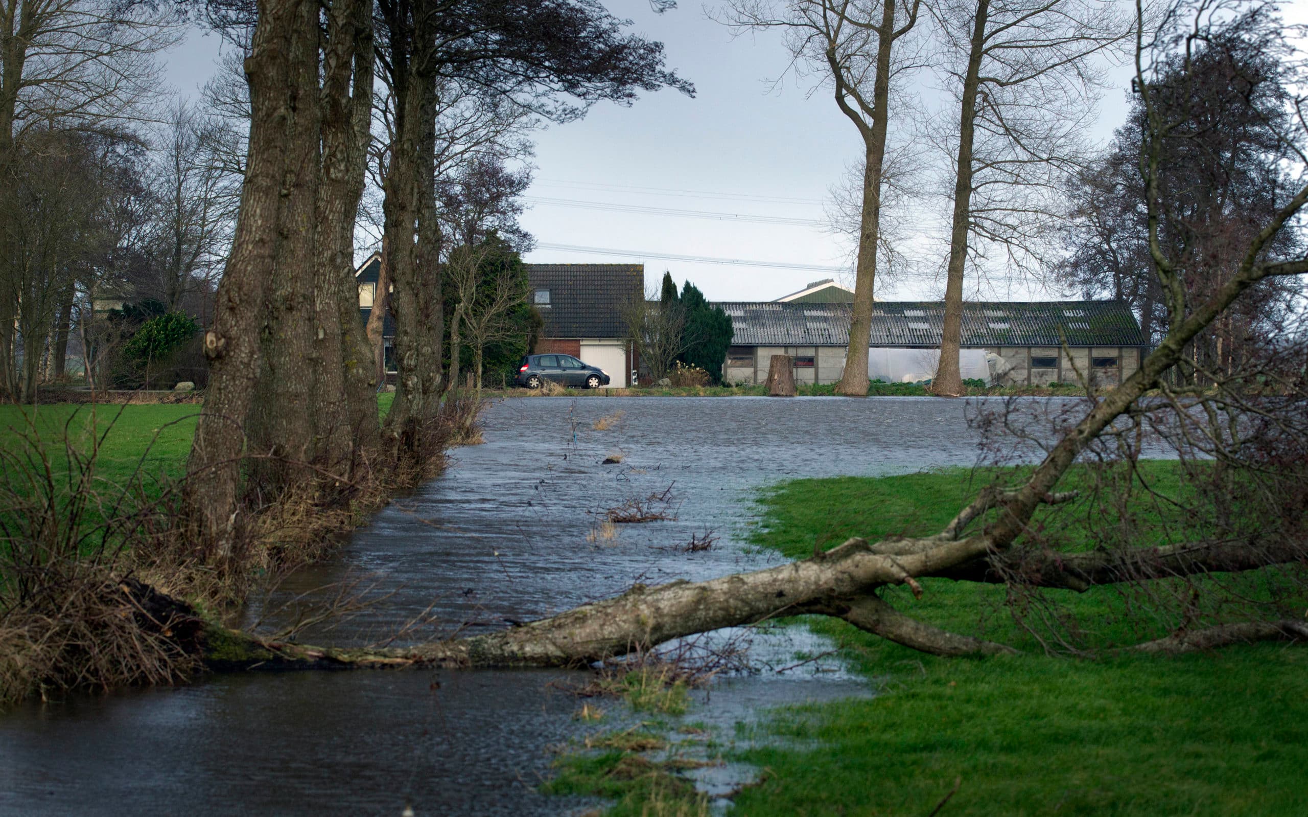 Foto: Dennis Beek