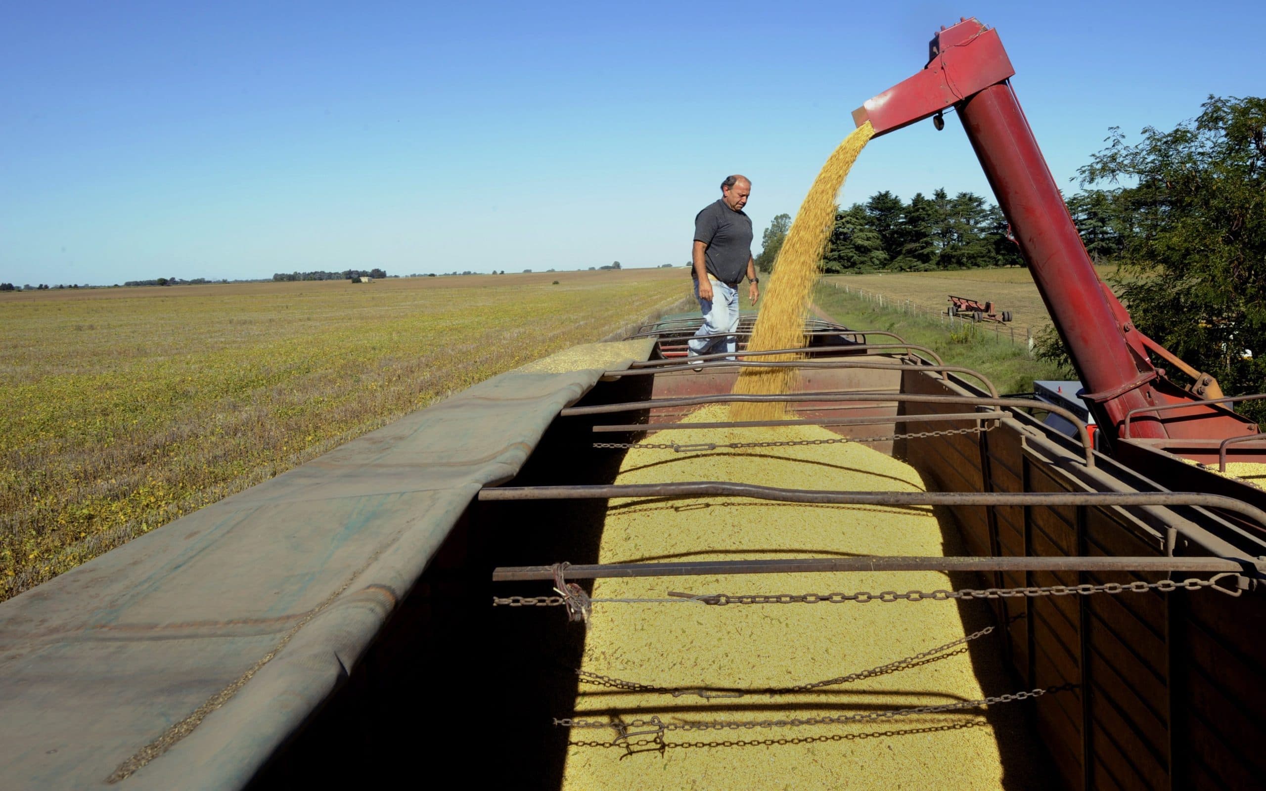 2008-04-03 11:46:00 (FILE) A worker controls as a hopper wagon unloads soybean into his truck in a field in the locality of Perez Millan, 200 km from Buenos Aires, on April 3, 2008. Argentina is the world's leading exporter of oil and oilseed meal and the third in soybeans.  AFP PHOTO/DANIEL GARCIA