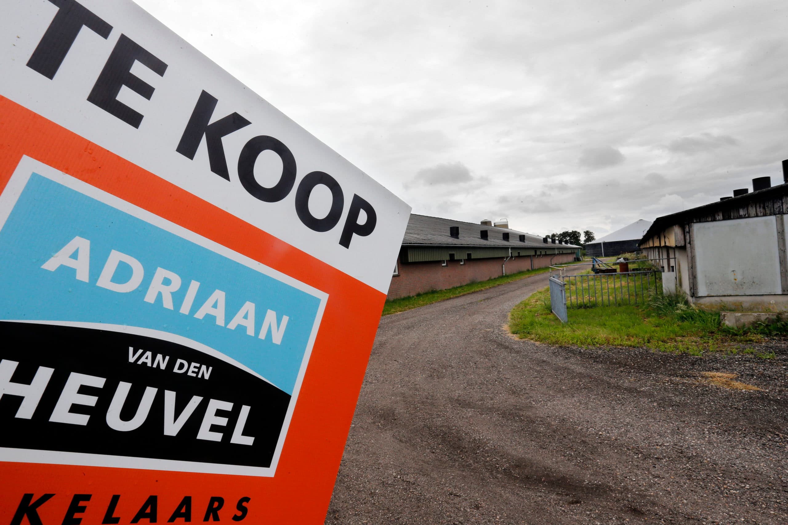 © Fotopersburo Bert Jansen TEL: +31(0)40-2920292 Onderwerp : Boerderij te koop 403054 (foto Bert Jansen) Fotograaf   : Bert Jansen Datum : 13-07-2016 Categorie : @2@  Trefwoorden : reed 403054