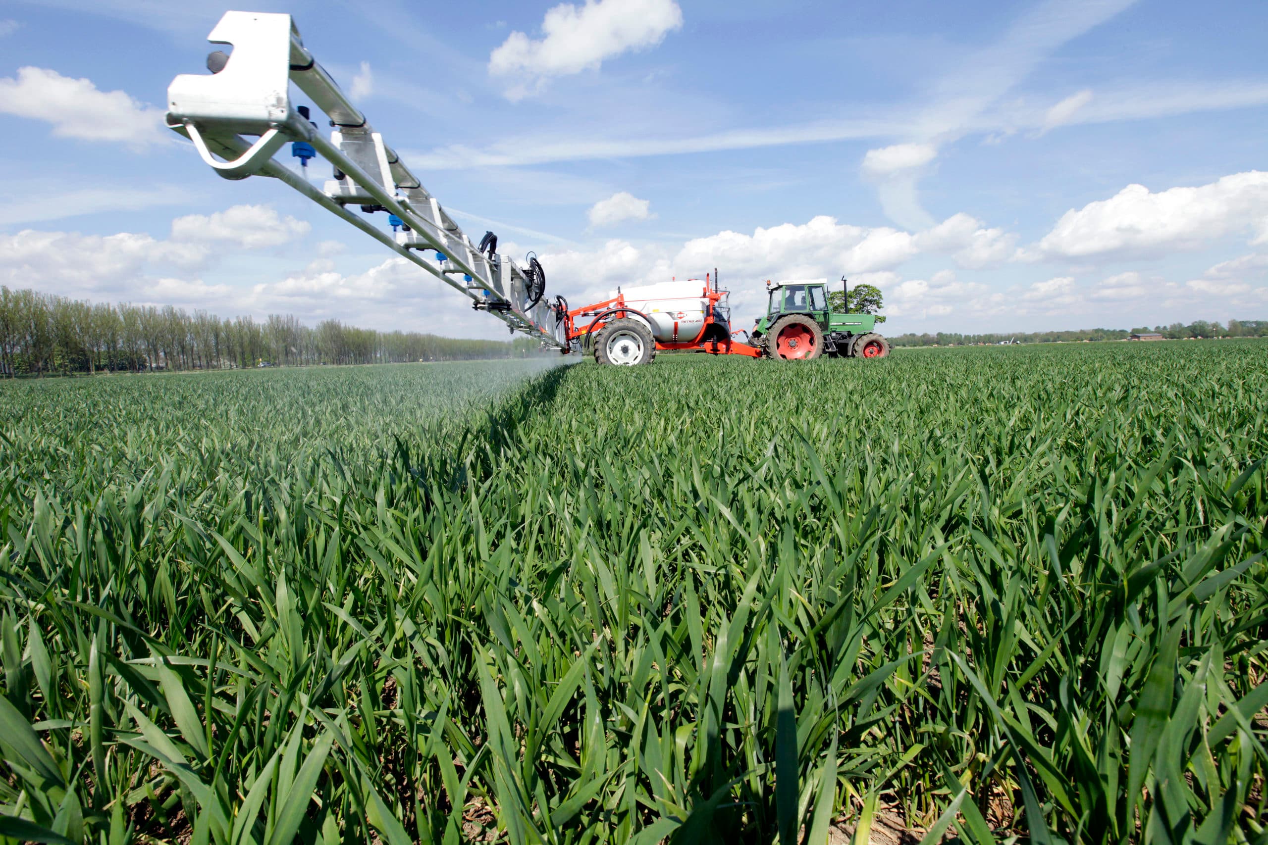 LTO-Akkerbouw wil pre-harvest glyfosaatverbod