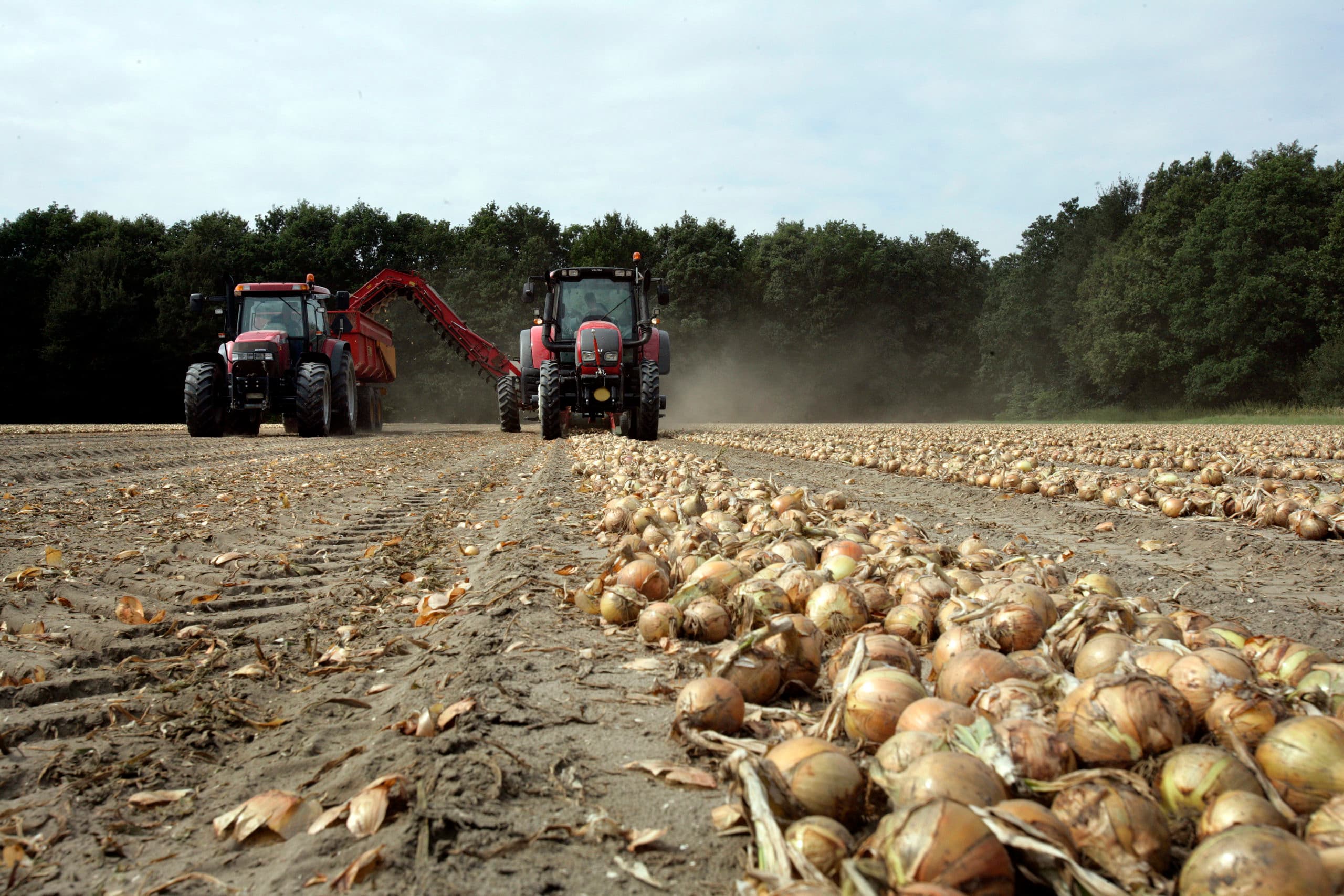 CBS moet stoppen met oogstramingen