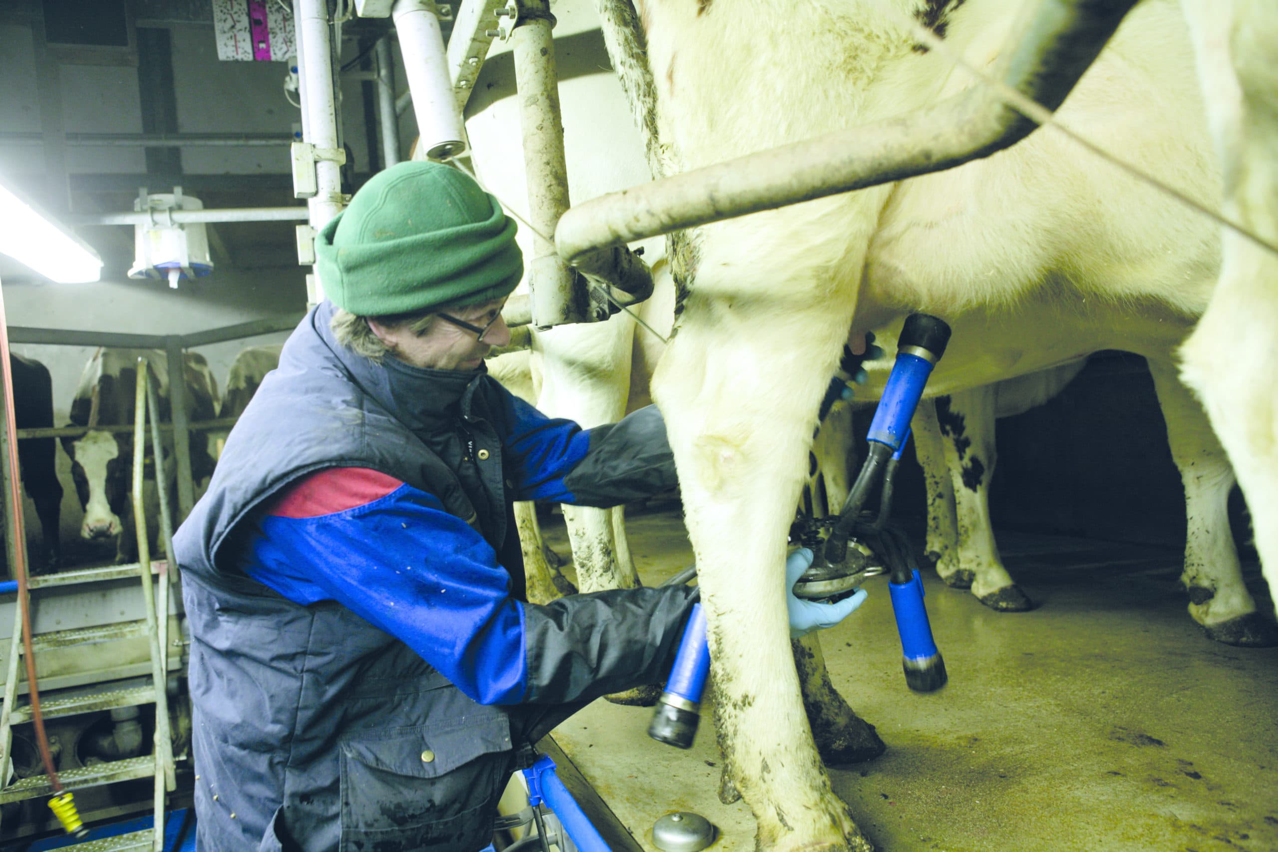 Boeren die ziek zijn, proberen toch vaak om door te werken. Pas als het echt niet meer gaat, schakelen ze hulp in.