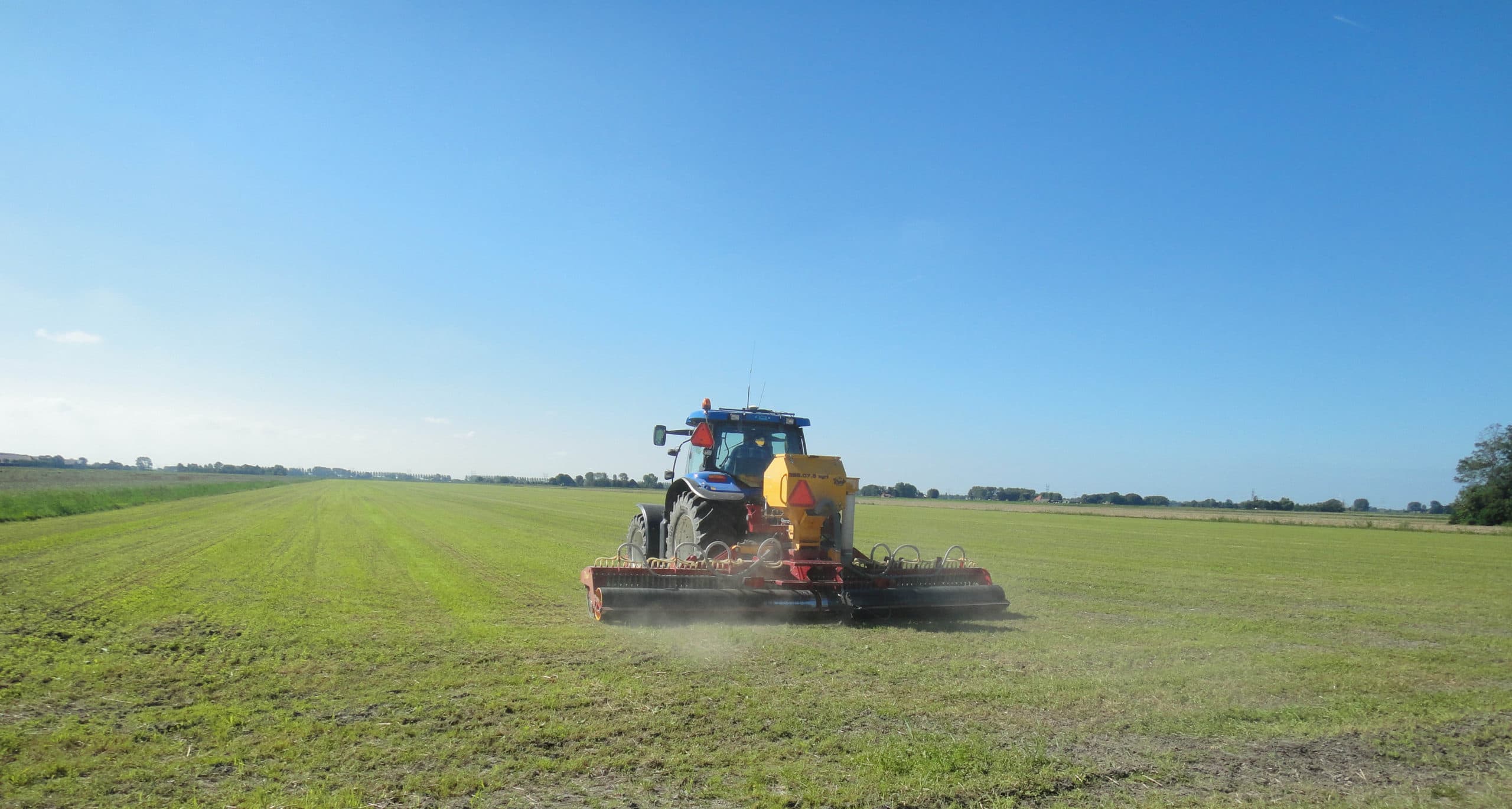 Foto: Barenbrug