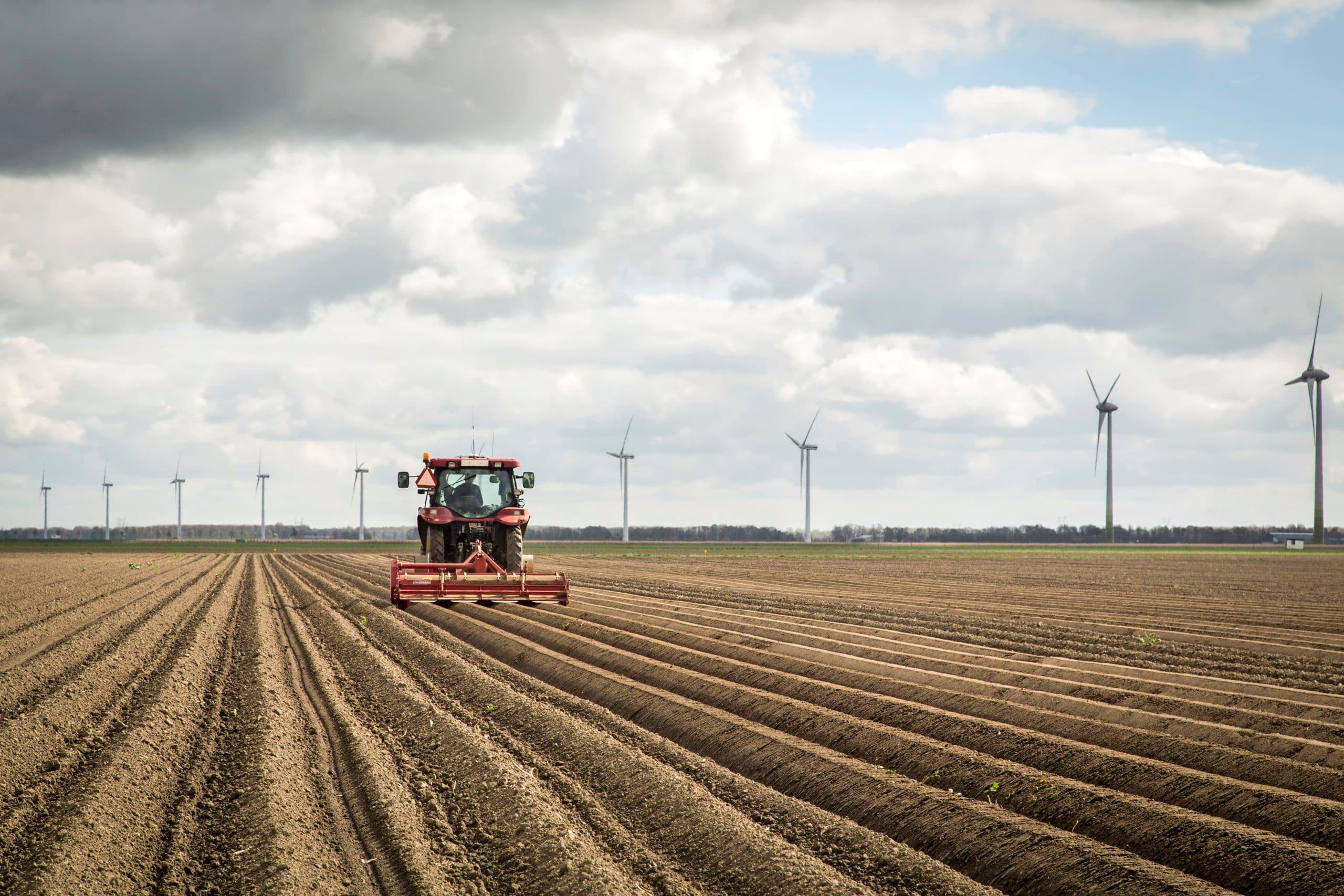 Foto: Koos Groenewold