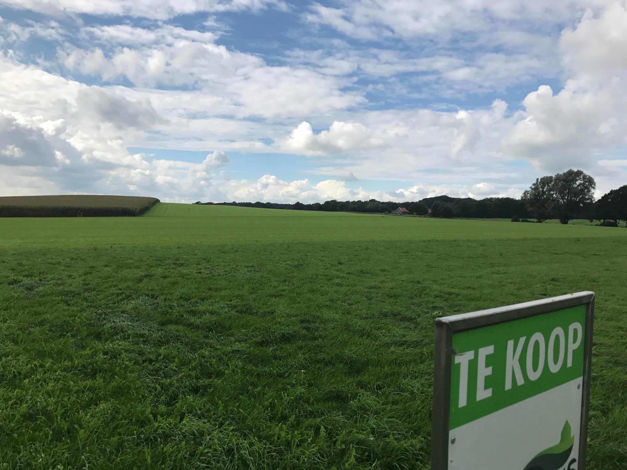 Foto: Martijn ter Horst